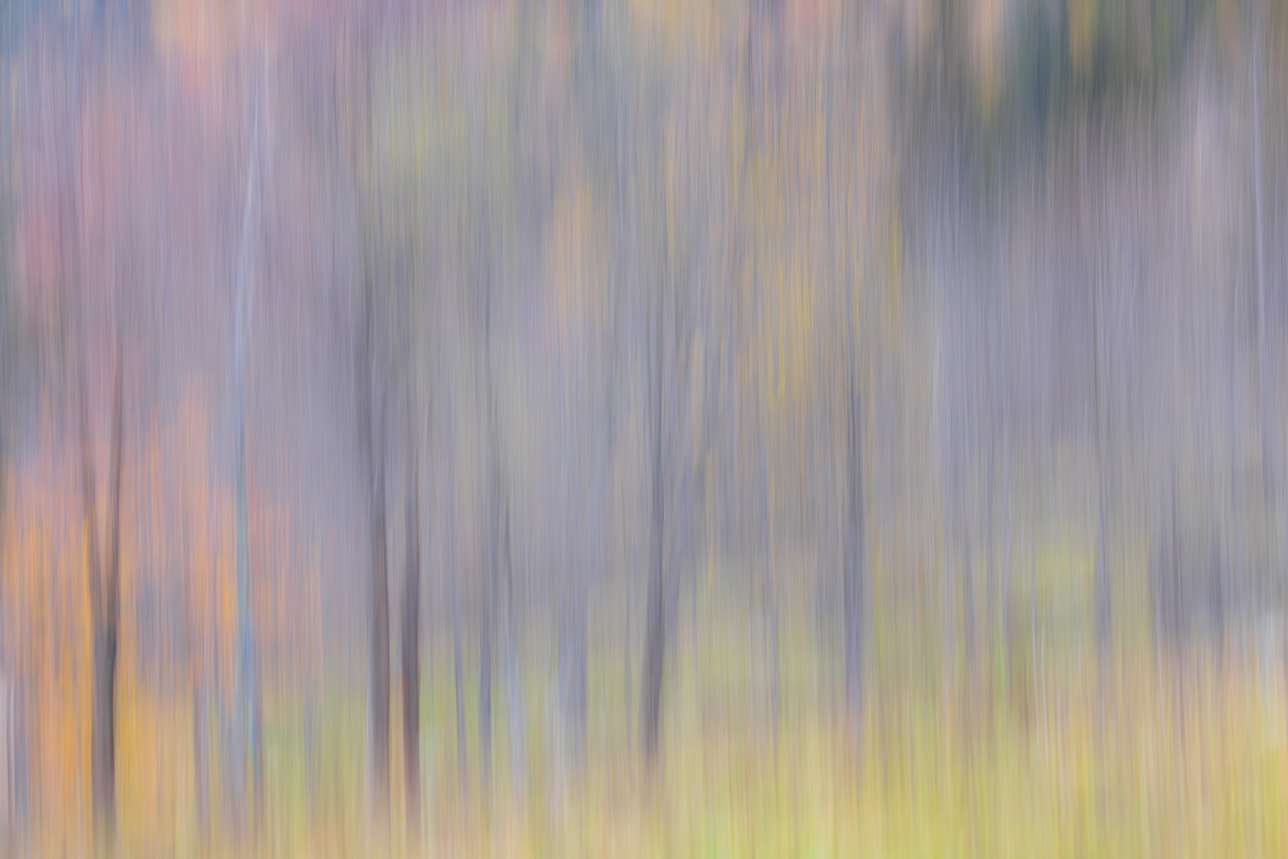 18211625102025298 ©SimonePaleari