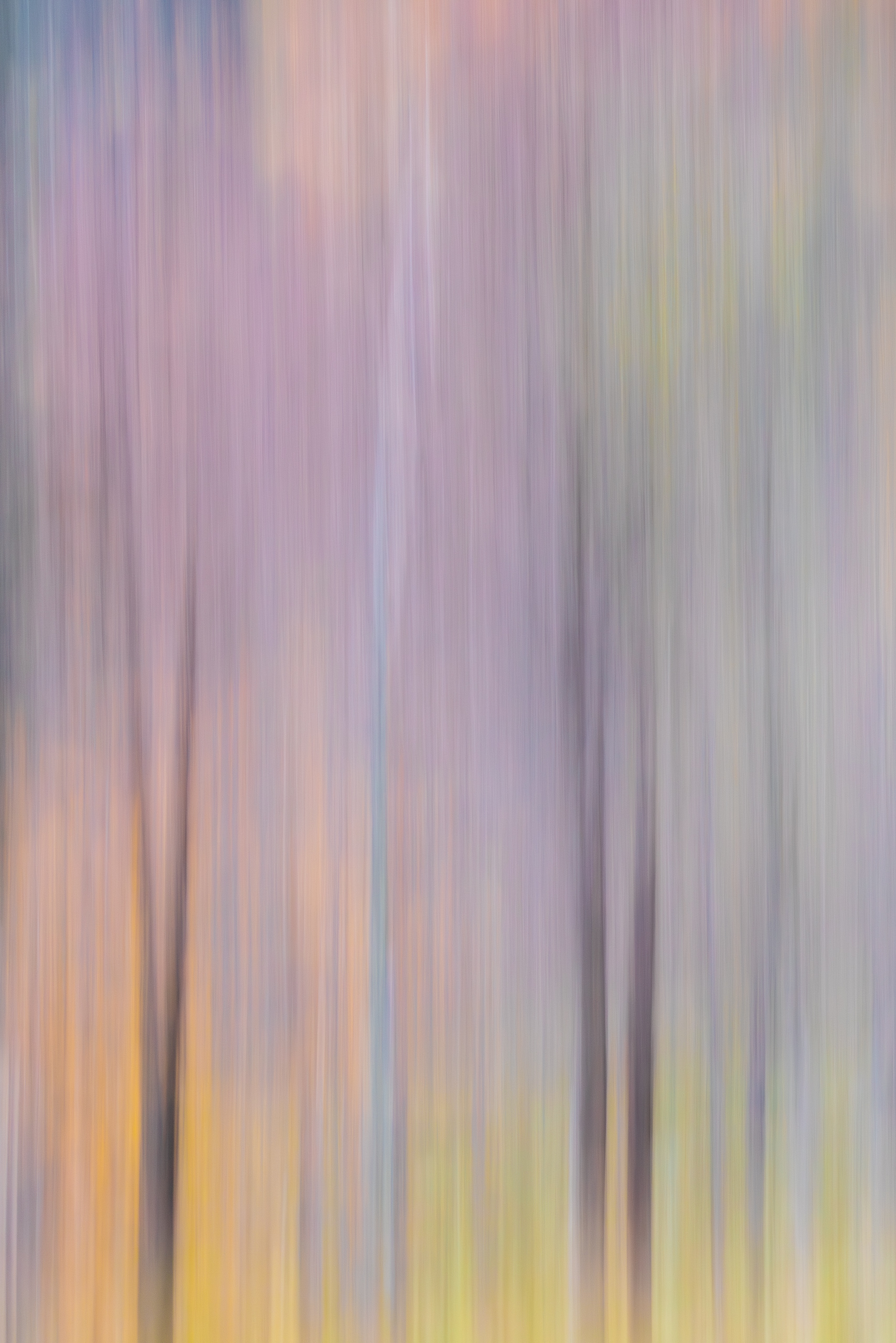 18213625102025298 ©SimonePaleari