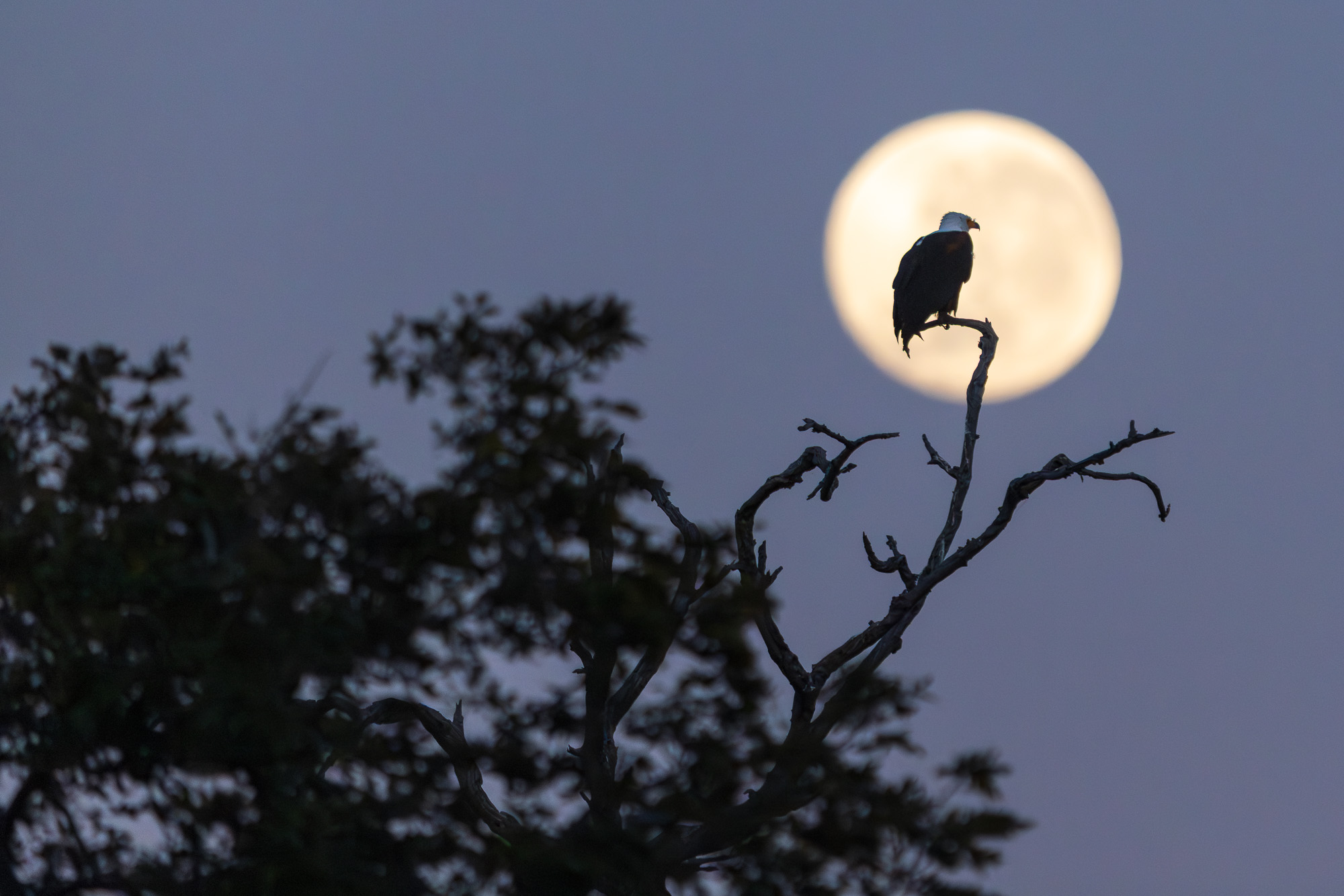 06392710082025222 ©SimonePaleari