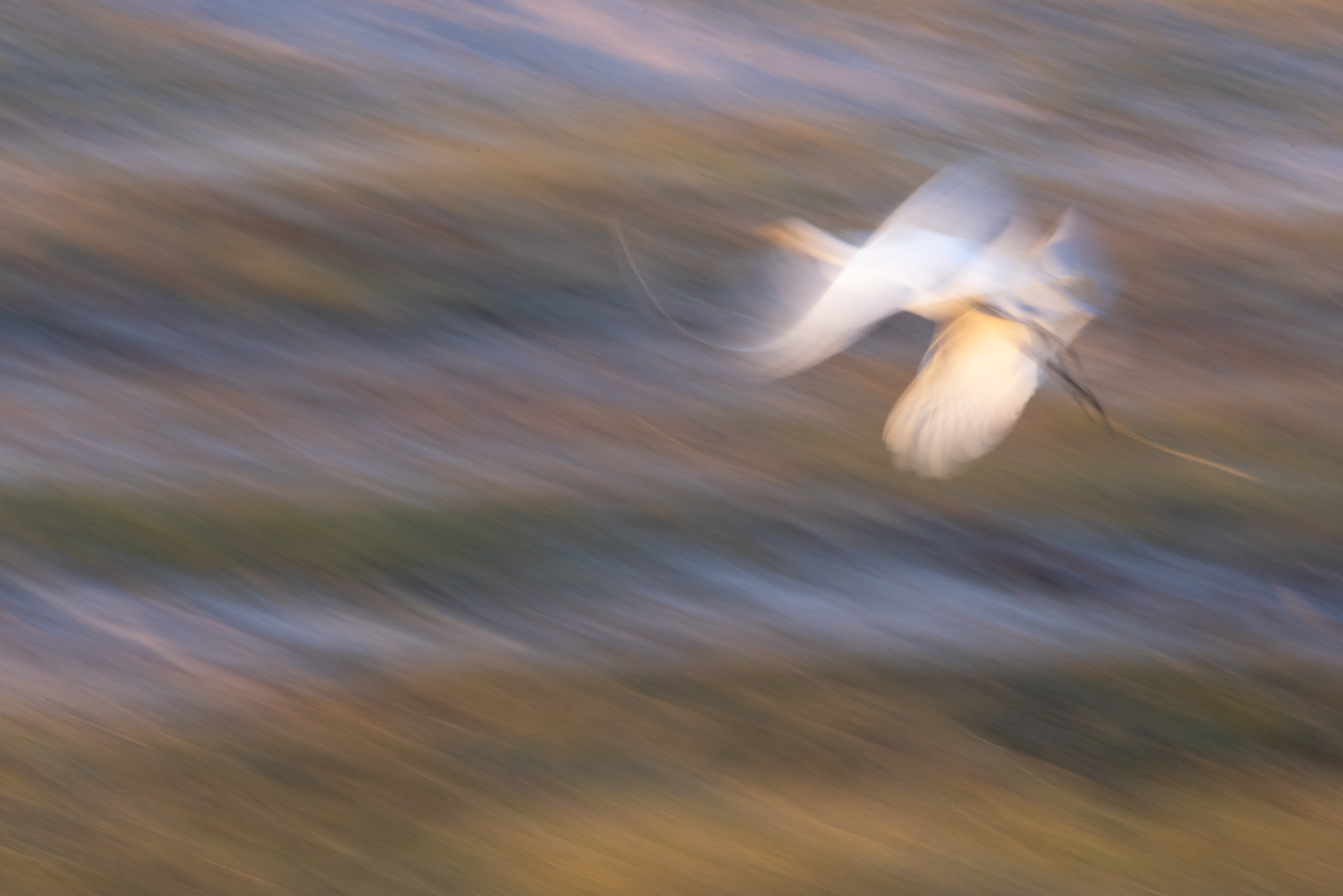 07052312082025224 ©SimonePaleari 2