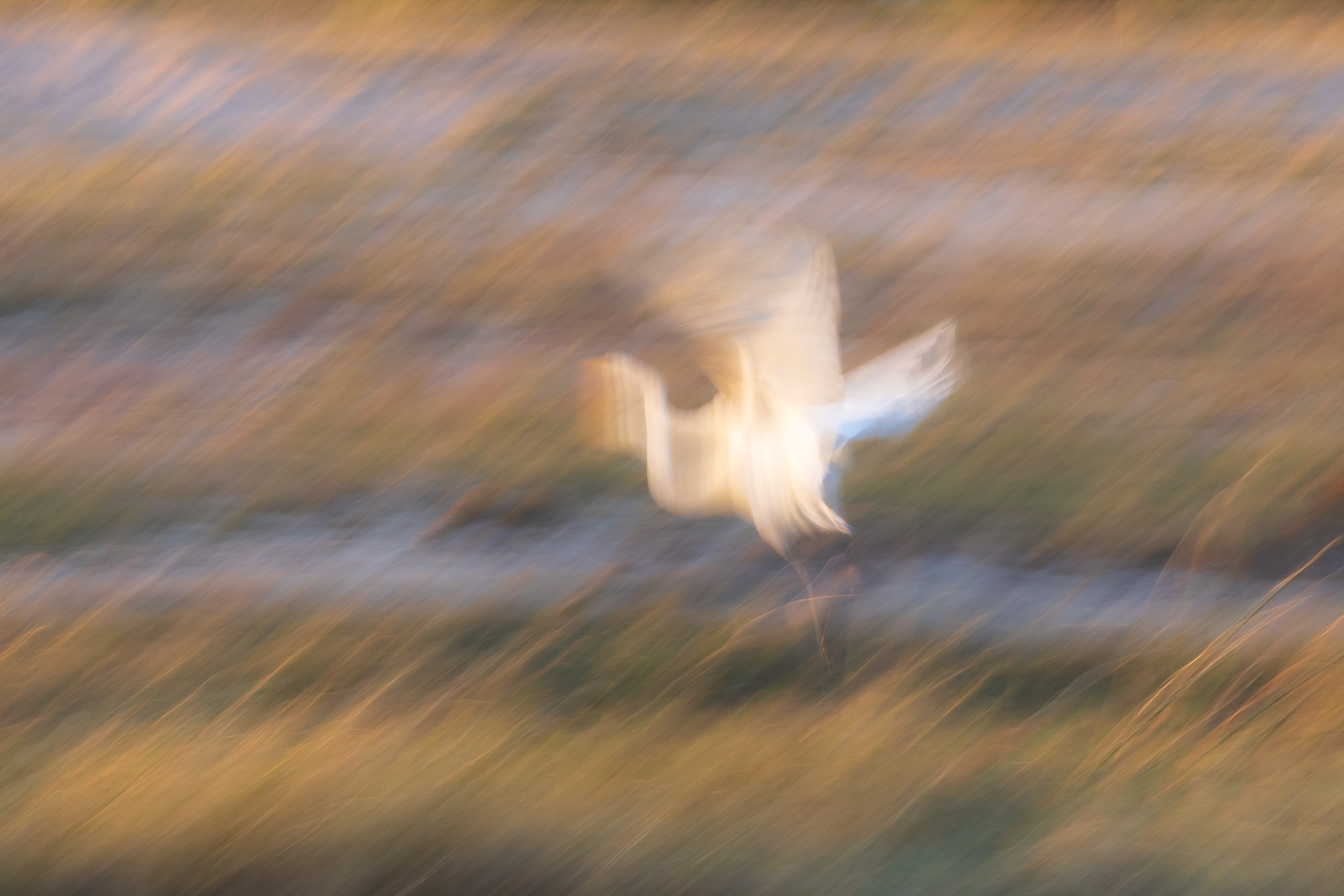 07052312082025224 ©SimonePaleari