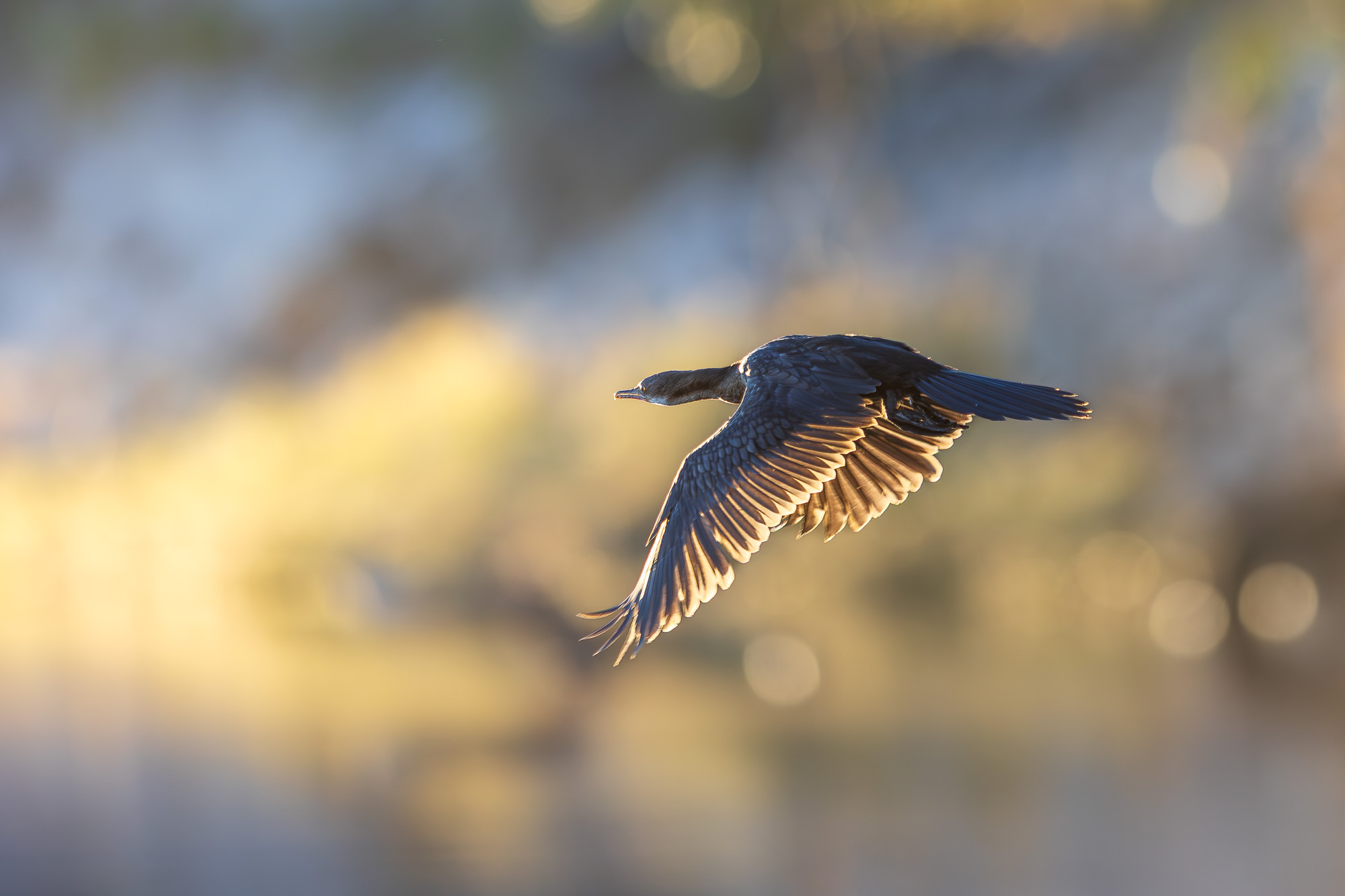 07075409082025221 ©SimonePaleari