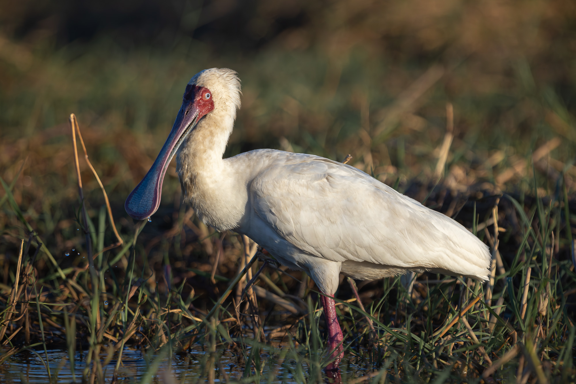 07144308082025220 ©SimonePaleari