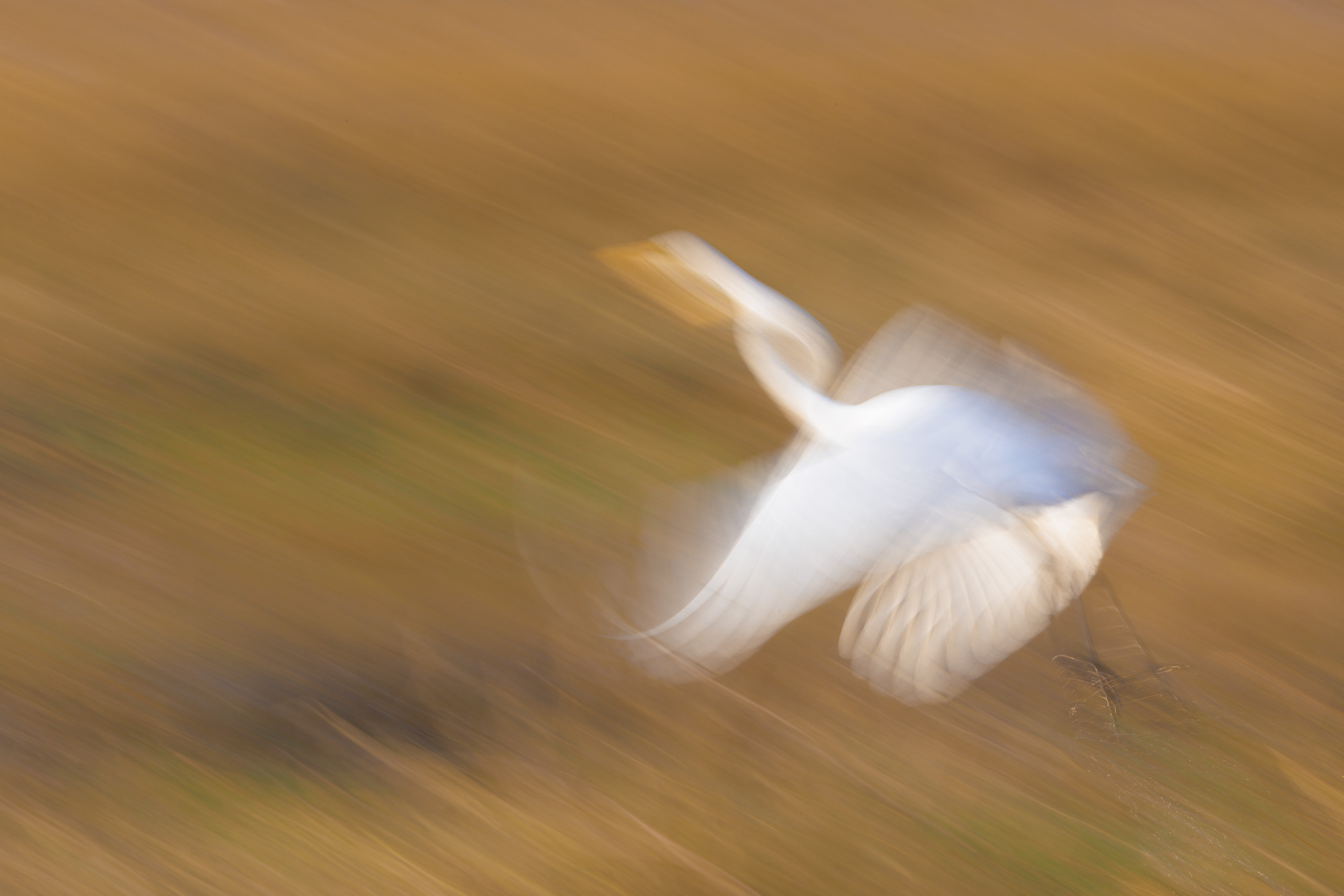 07185512082025224 ©SimonePaleari