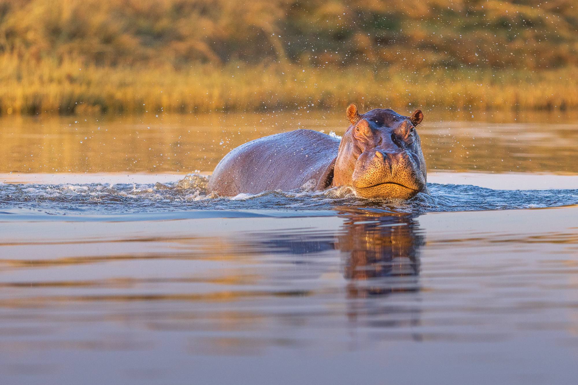 07224606082025218 ©SimonePaleari