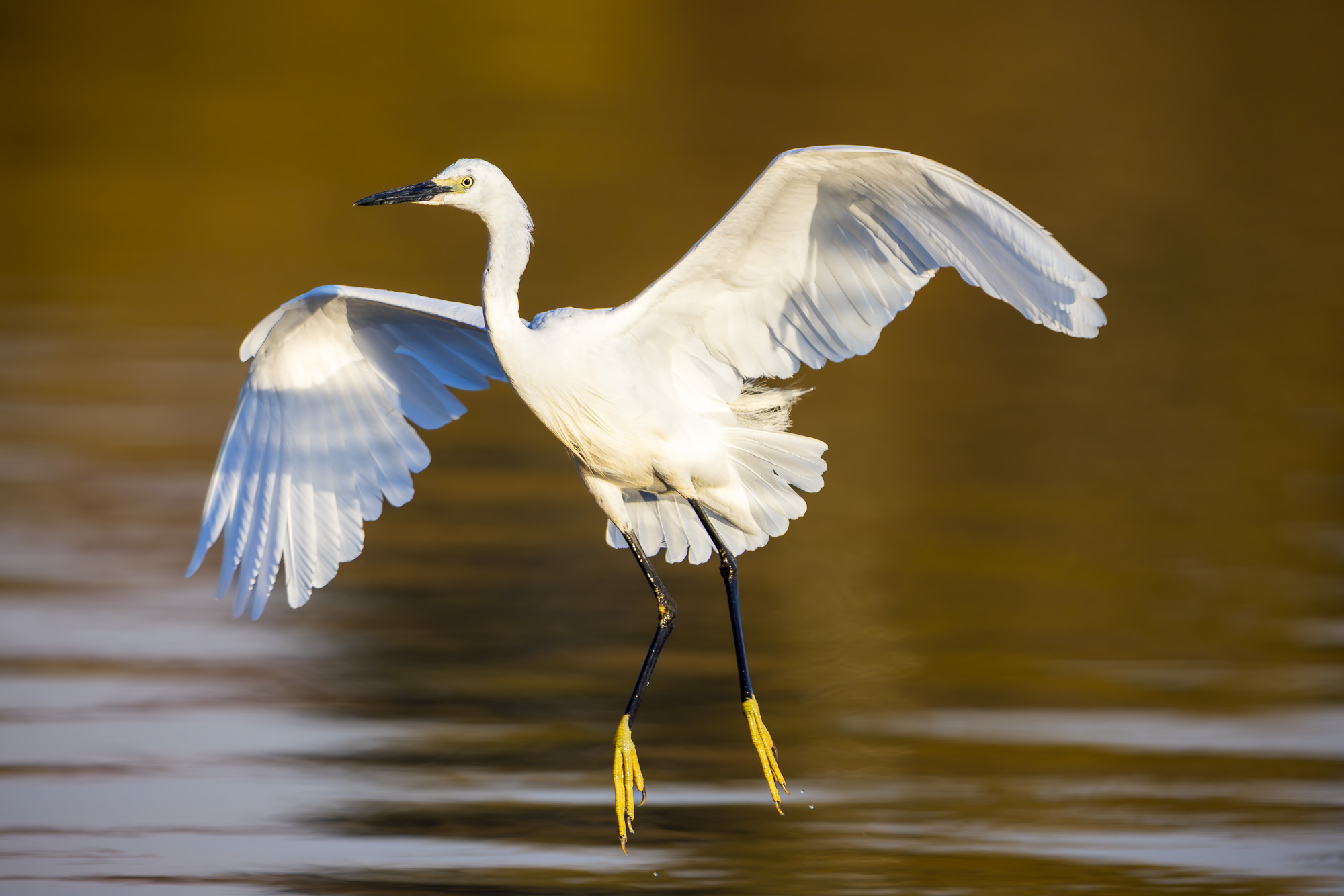 07312210082025222 ©SimonePaleari