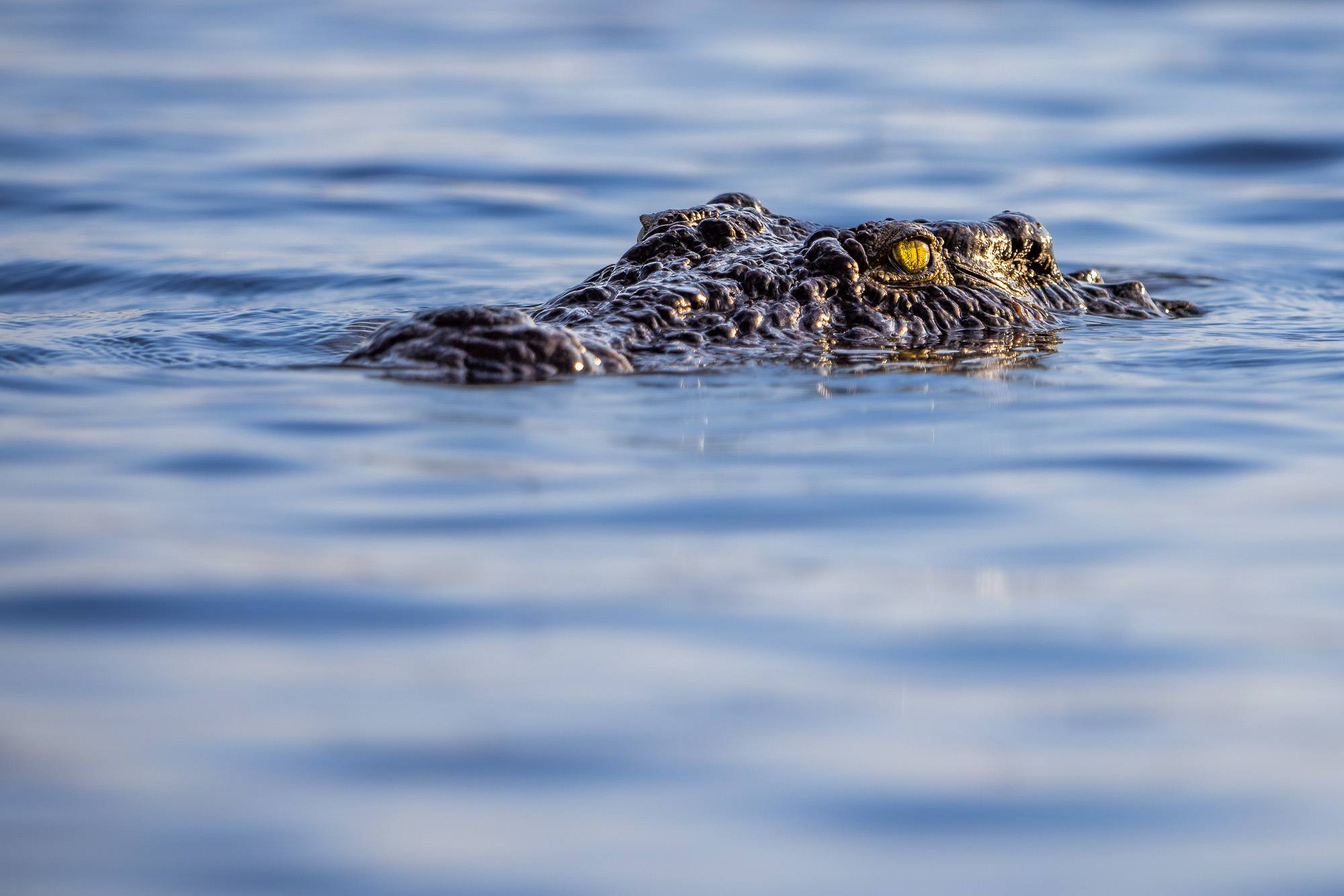 07400612082025224 3©SimonePaleari