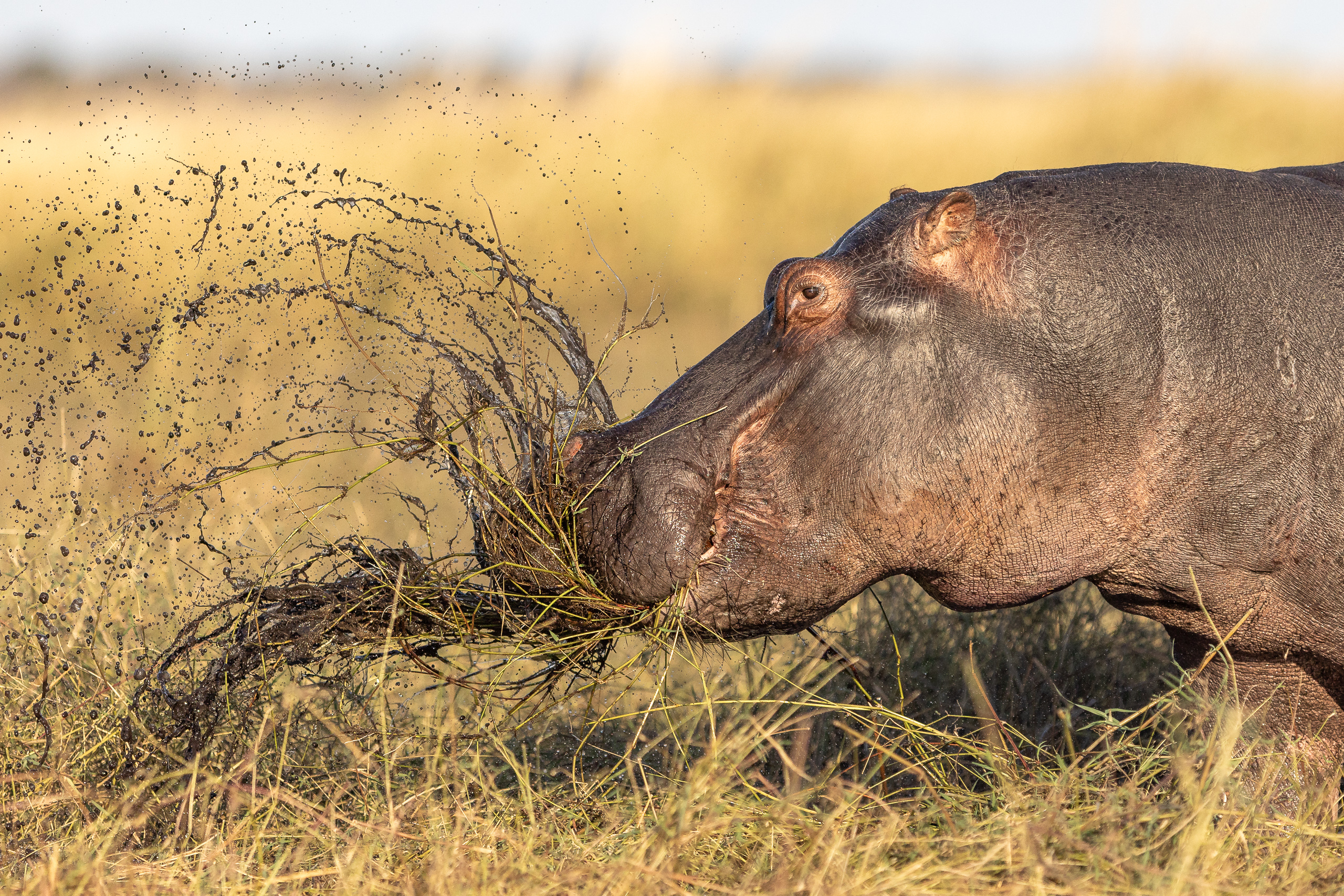 07485307082025219 2©SimonePaleari