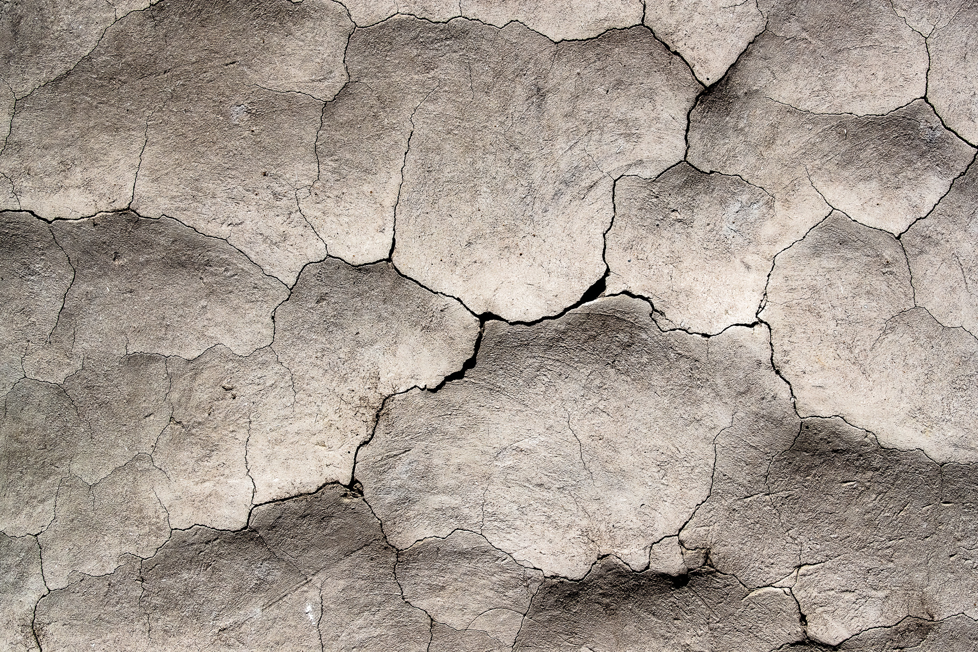 10570211082025223 ©SimonePaleari