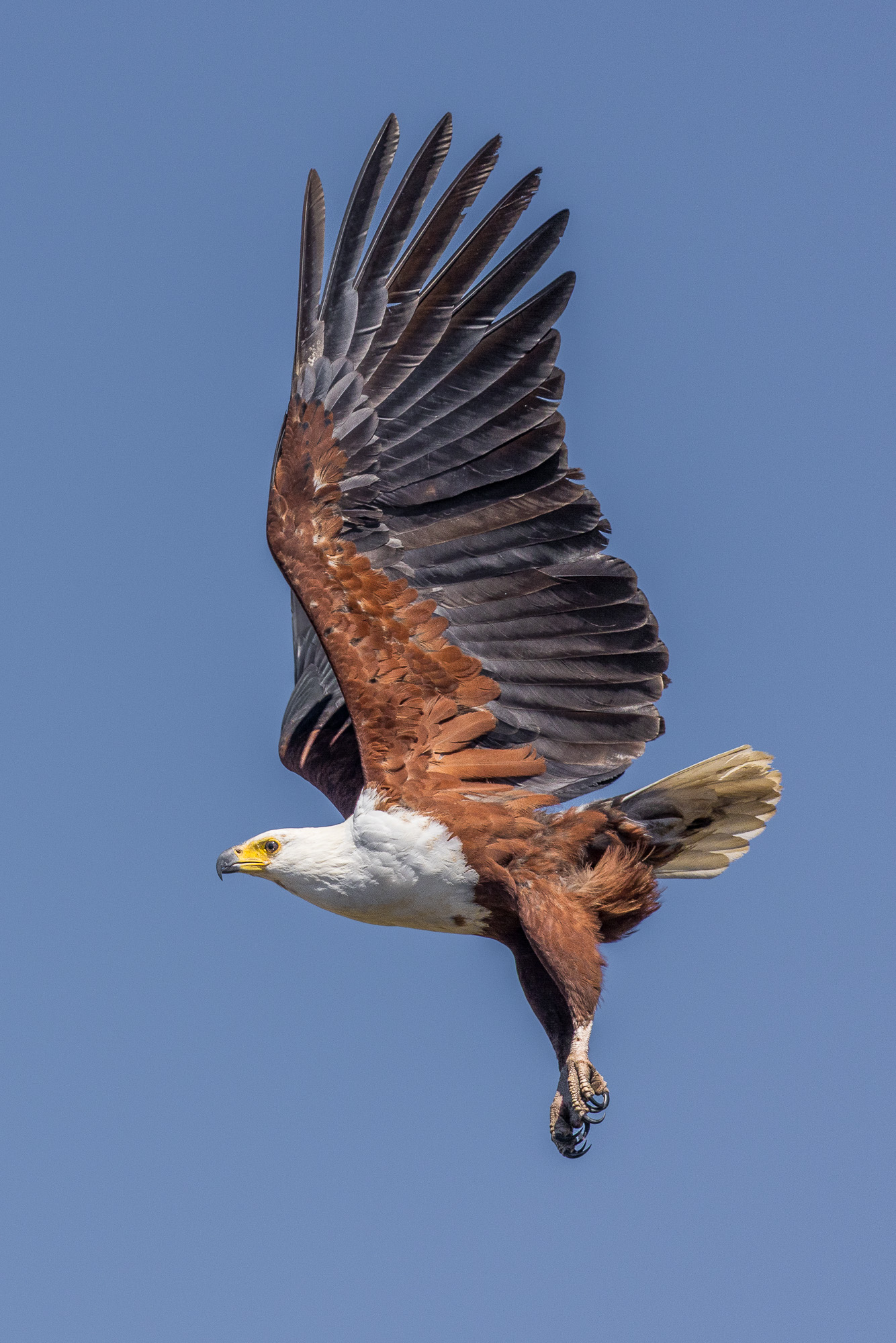 11222708082025220 3©SimonePaleari