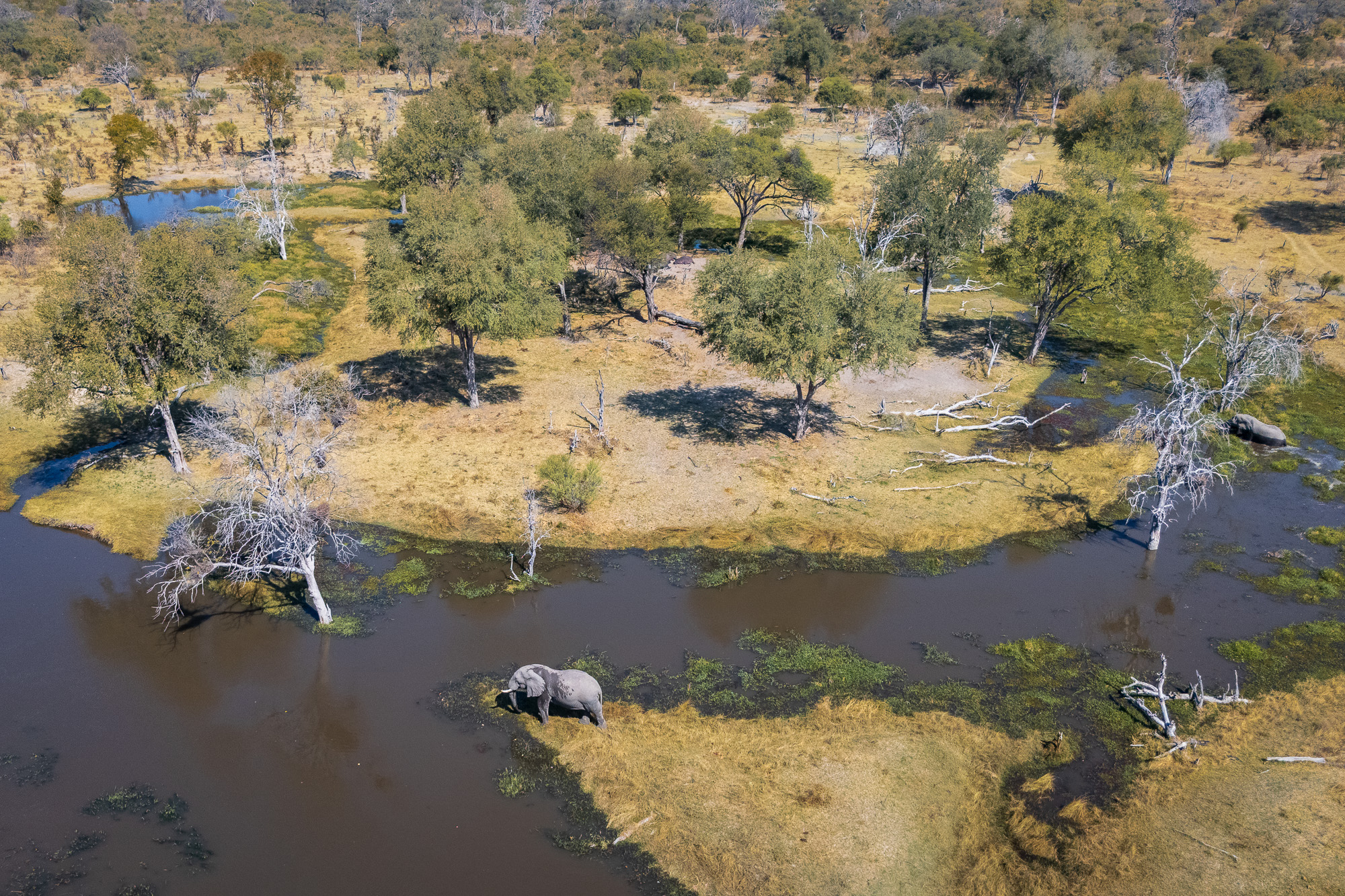 14220113082025225 ©SimonePaleari