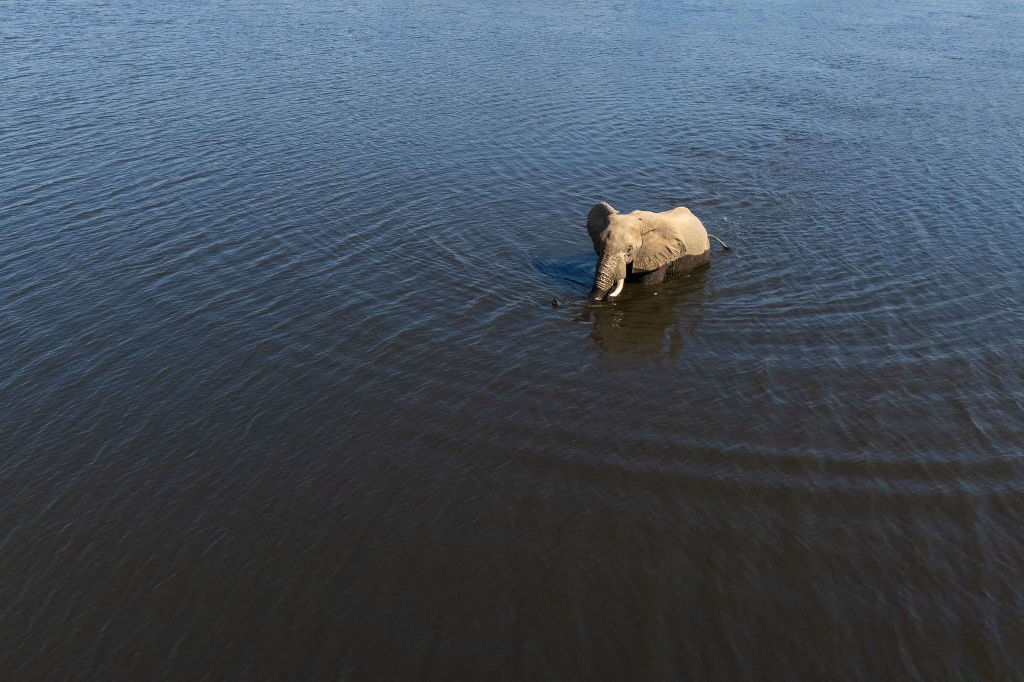 14560610082025222 ©SimonePaleari