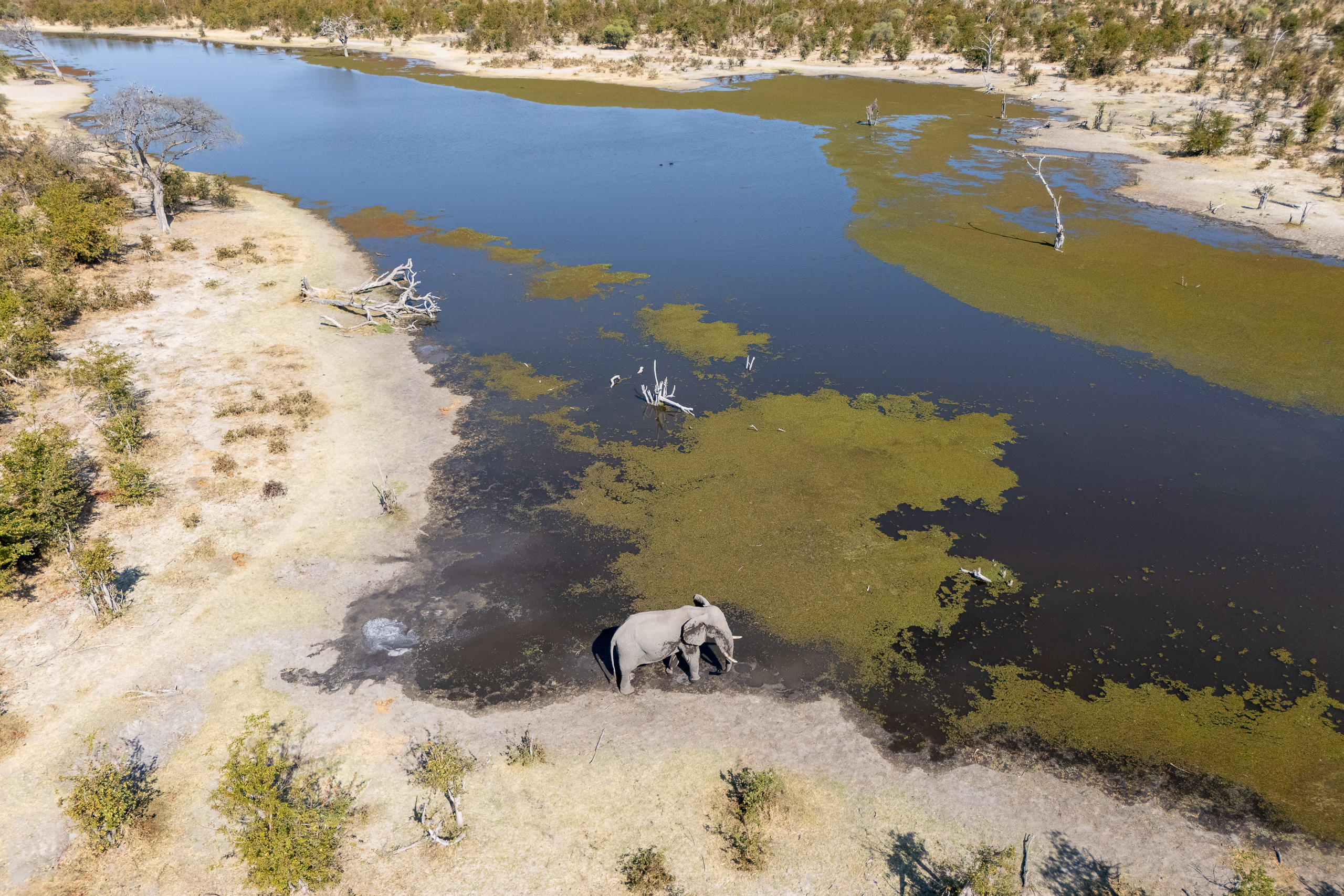 14560715082025227 ©SimonePaleari