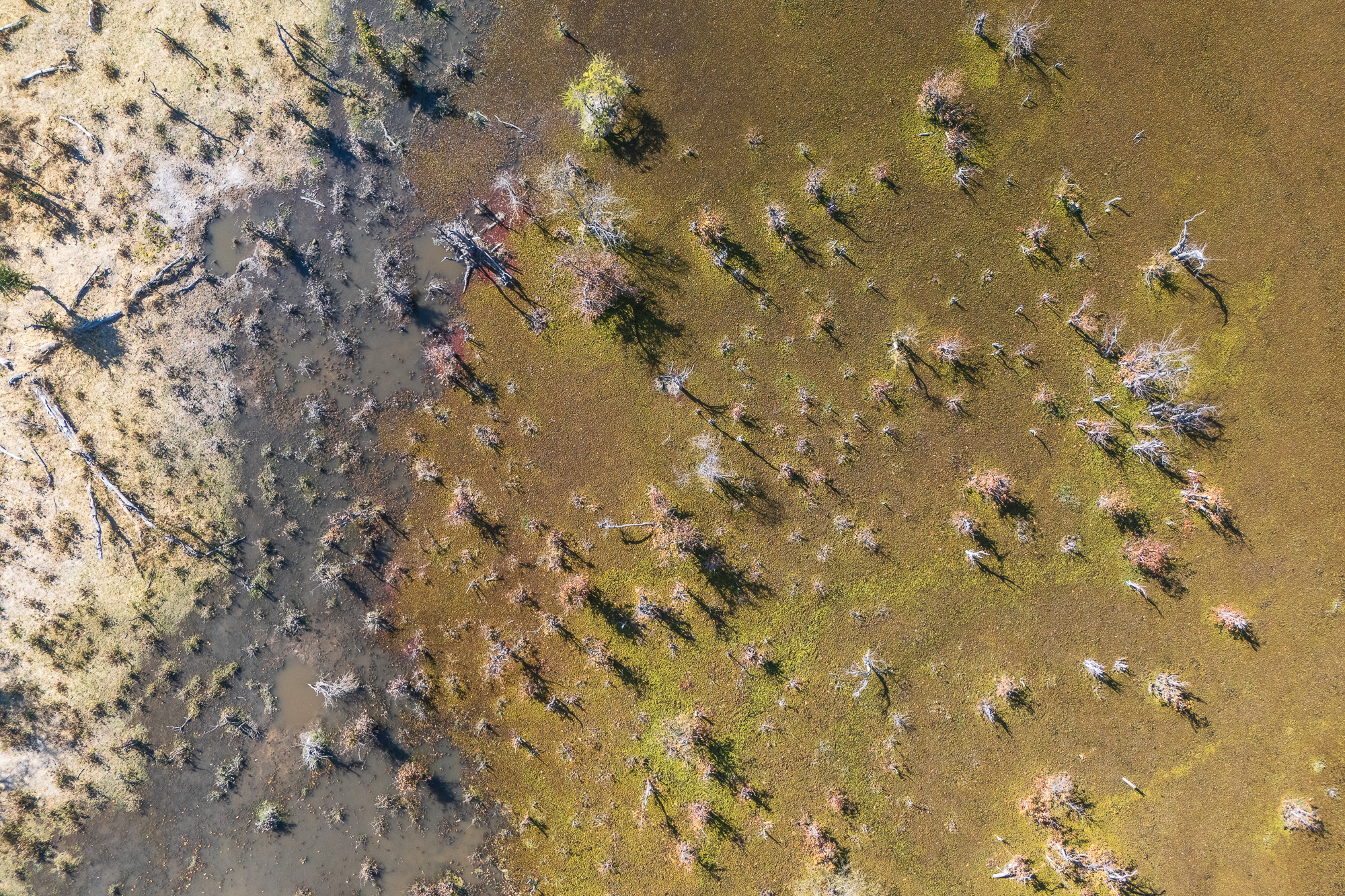 14561813082025225 ©SimonePaleari