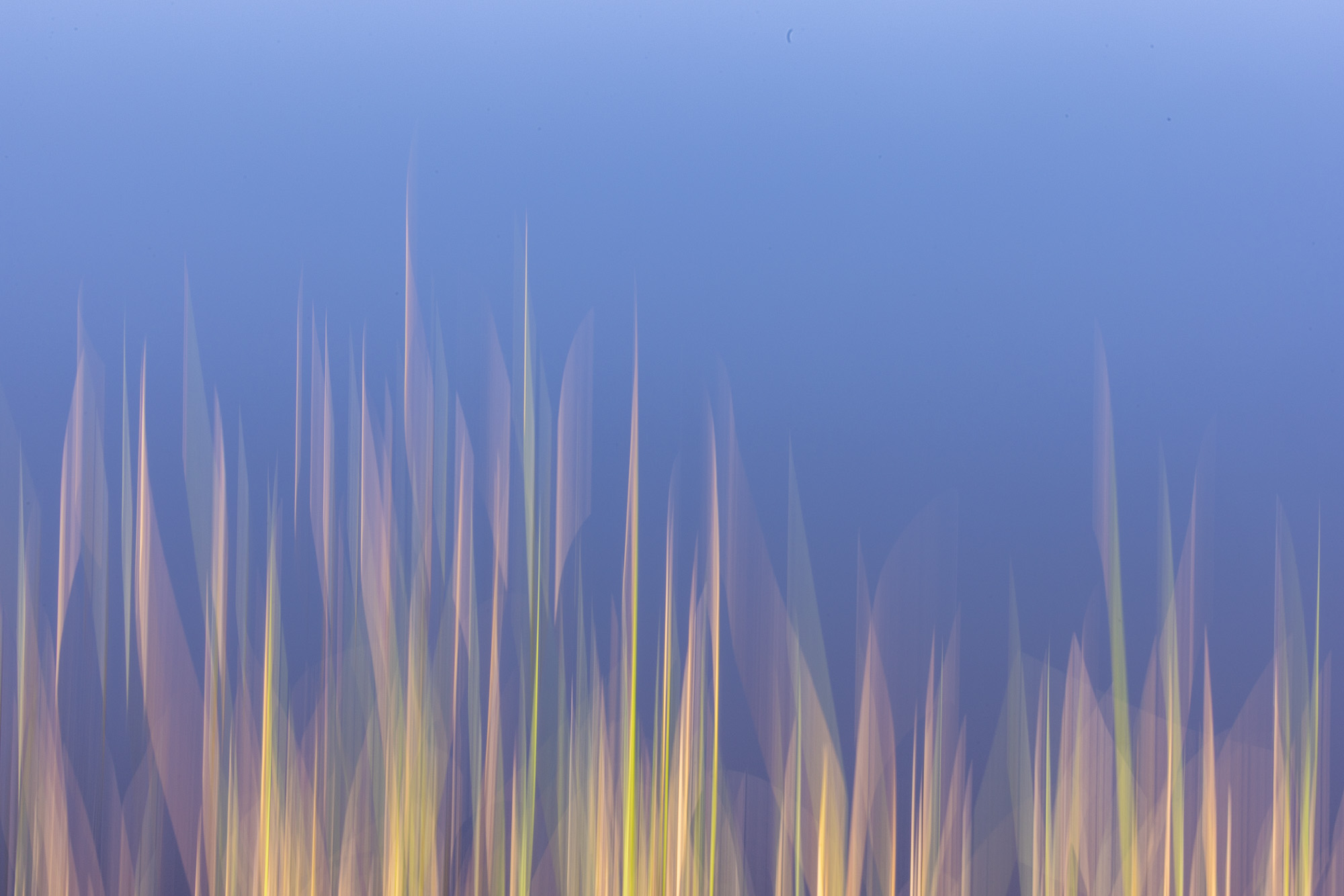 14595808082025220 ©SimonePaleari