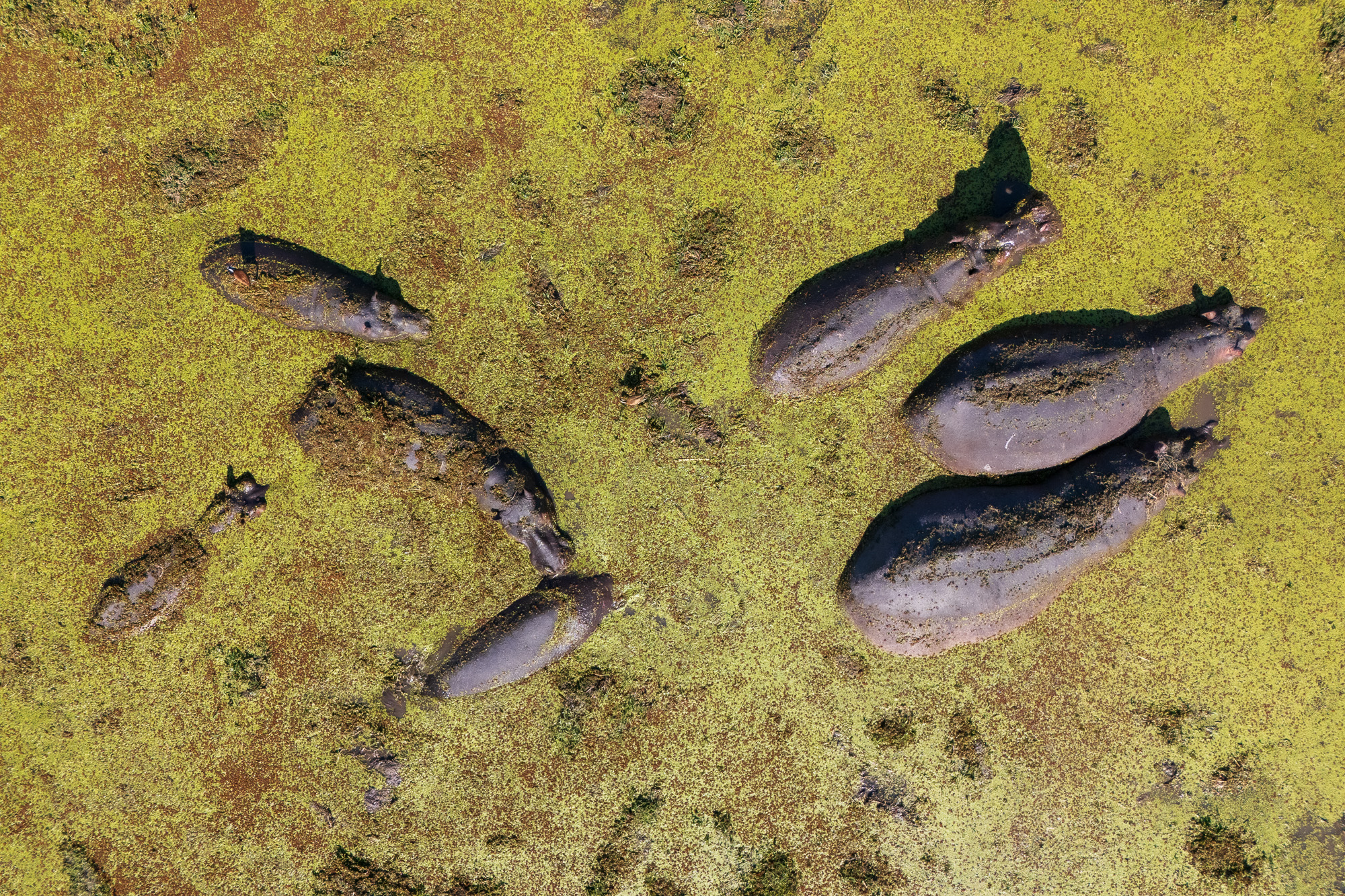 15090314082025226 ©SimonePaleari