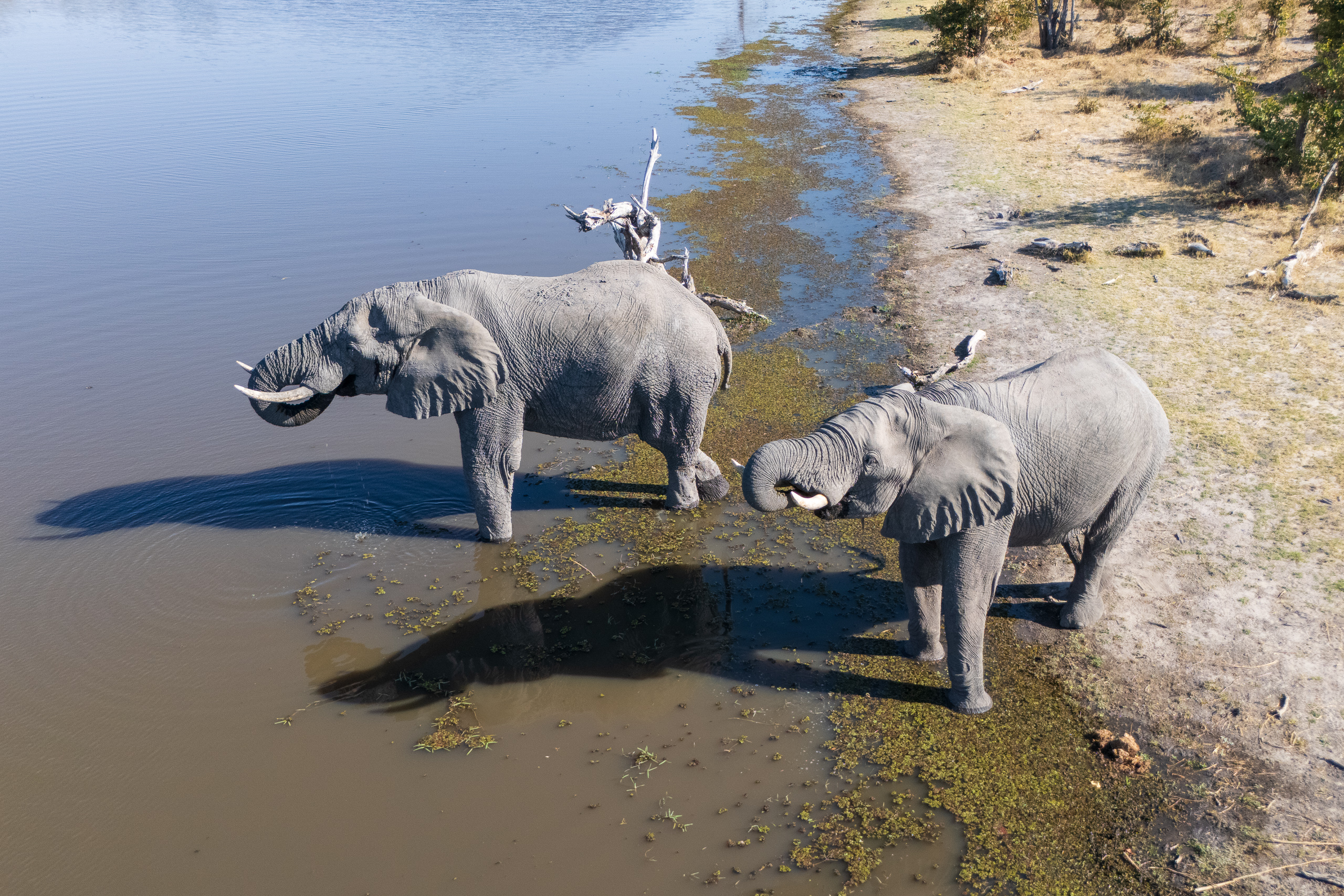 15354814082025226 ©SimonePaleari