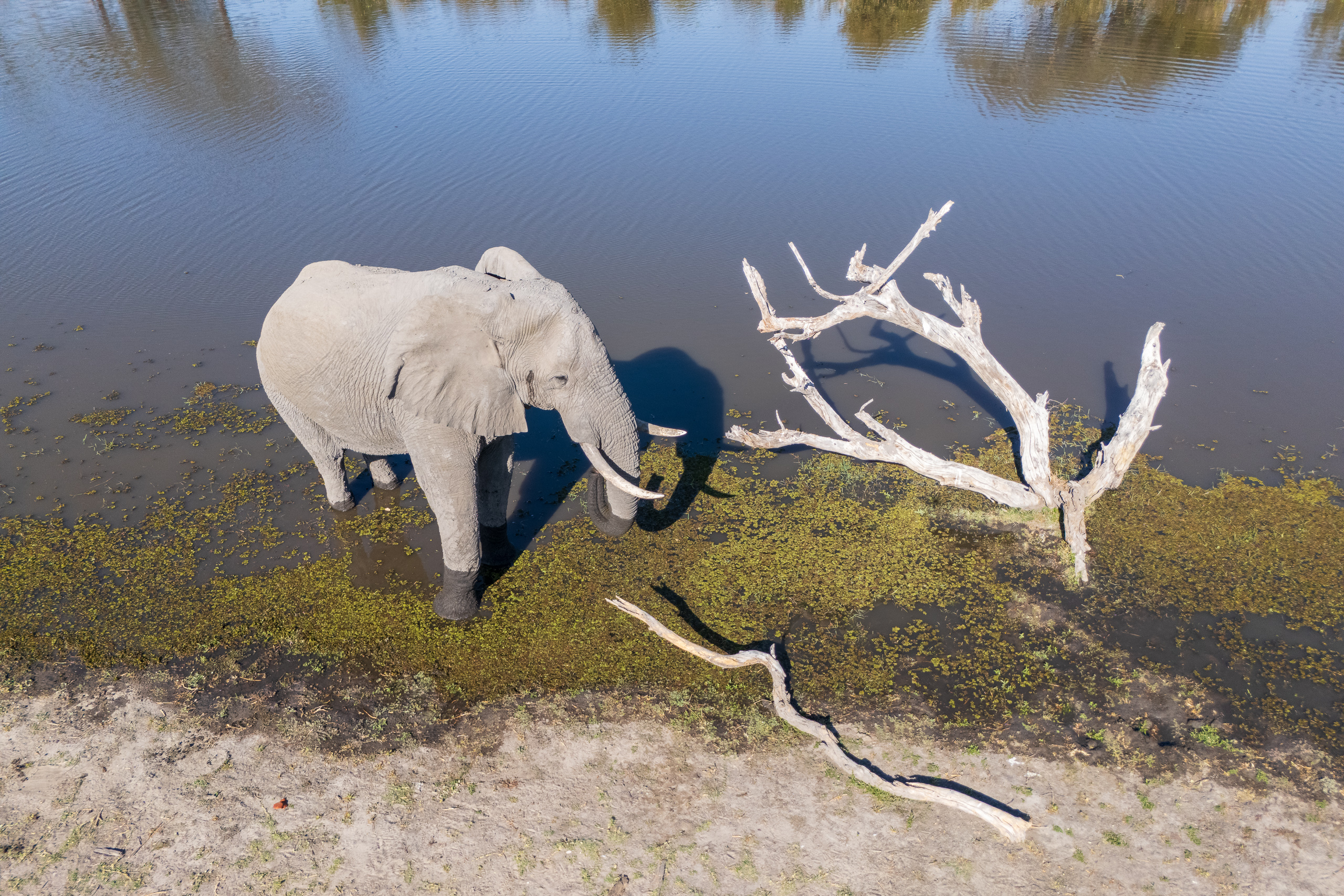 15411714082025226 ©SimonePaleari