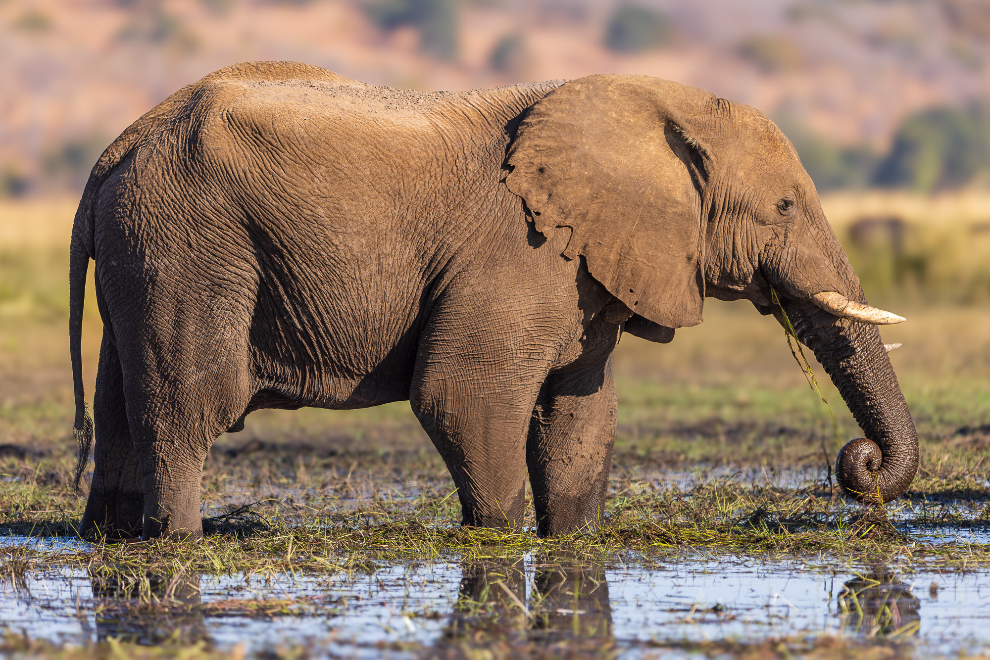 15461104082025216 ©SimonePaleari