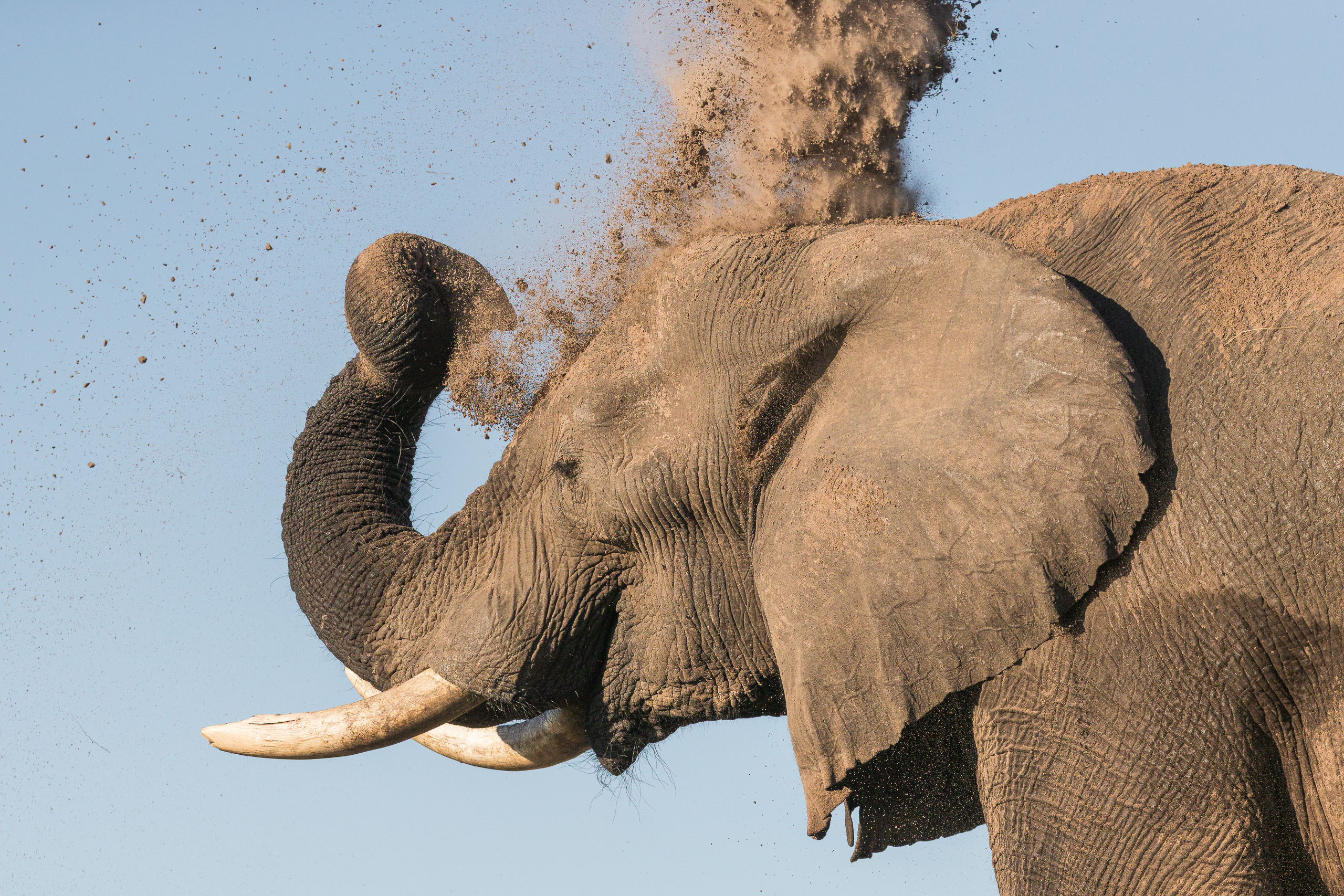 16292008082025220 ©SimonePaleari