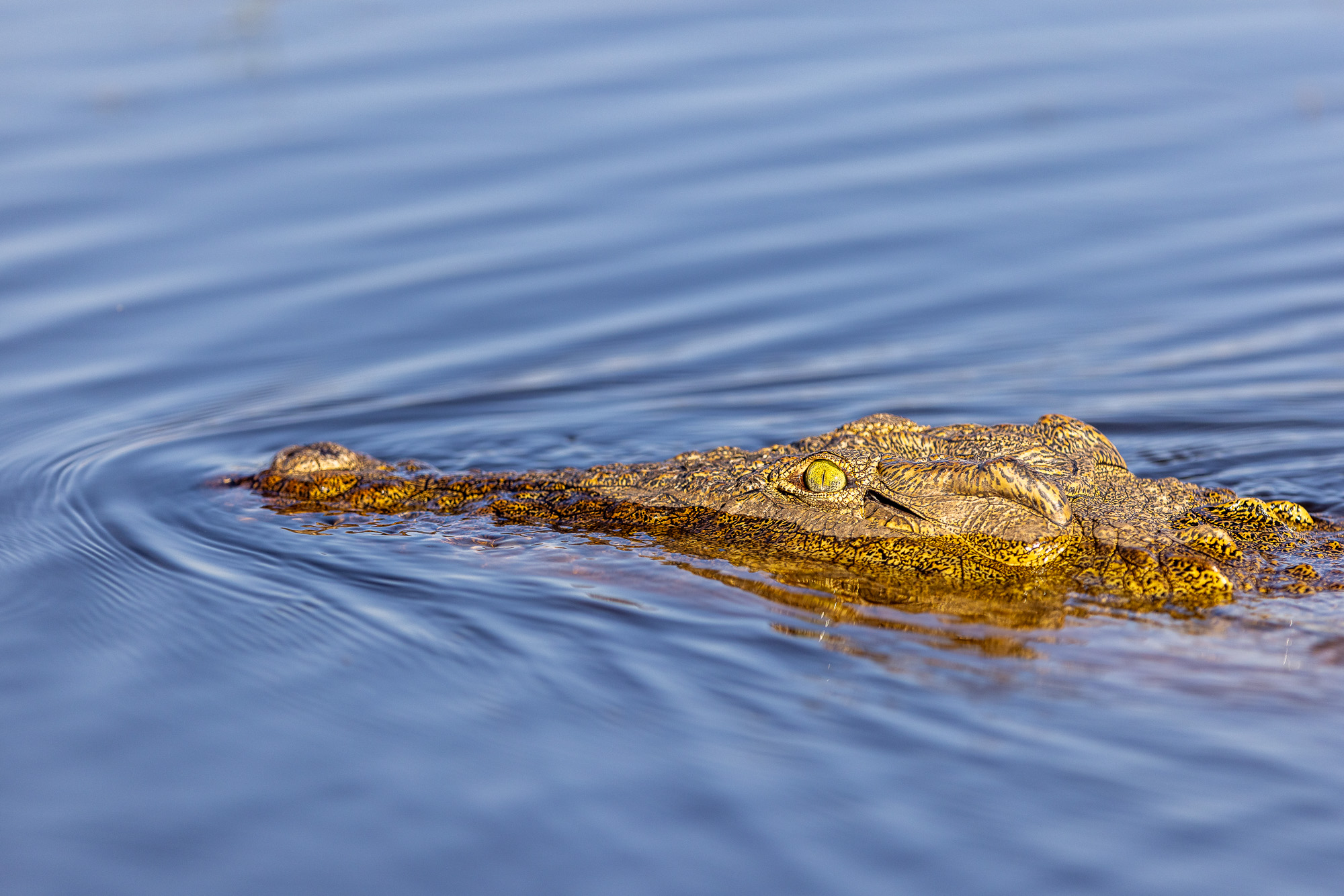 16324809082025221 2©SimonePaleari