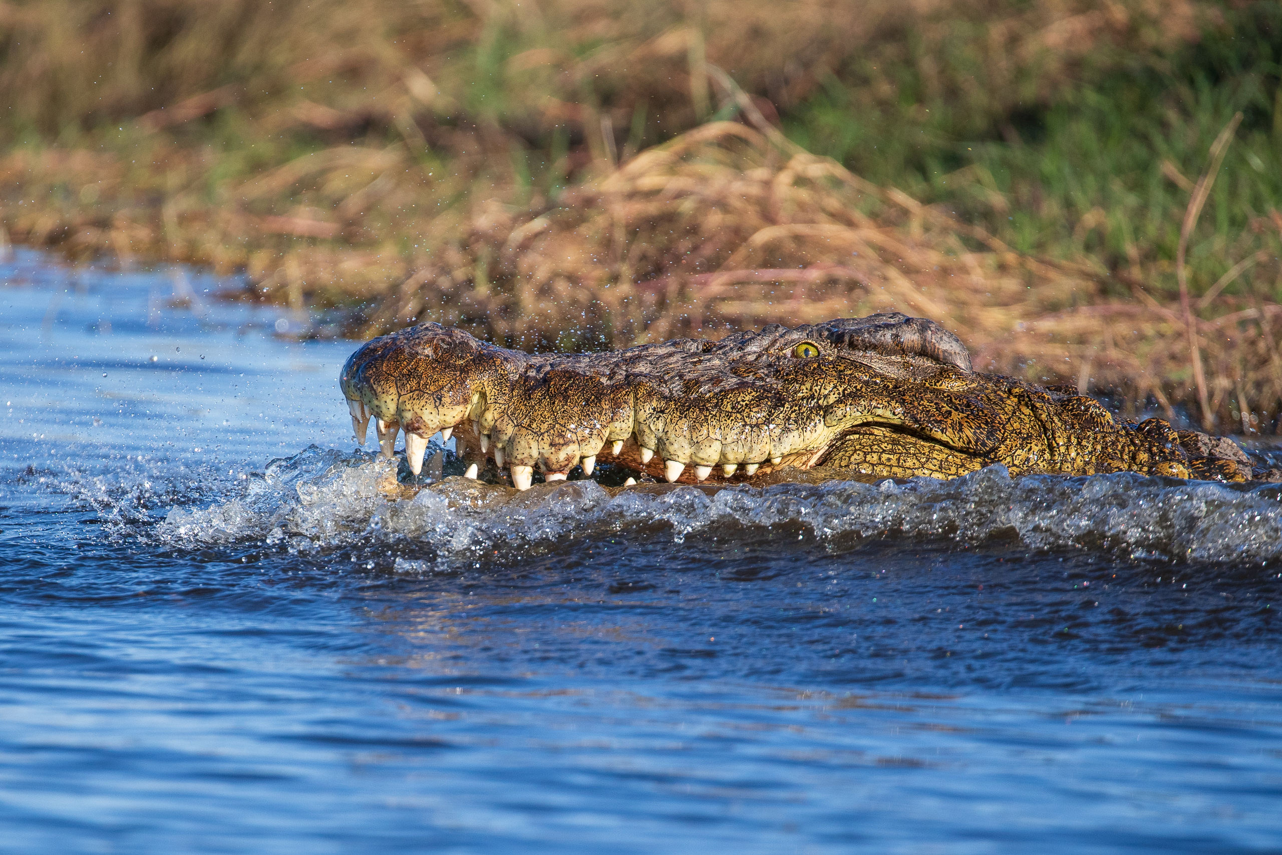 16372808082025220 ©SimonePaleari 3