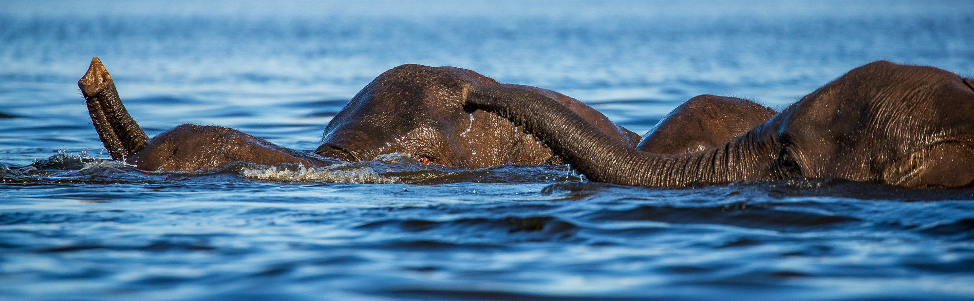 16491707082025219 ©SimonePaleari