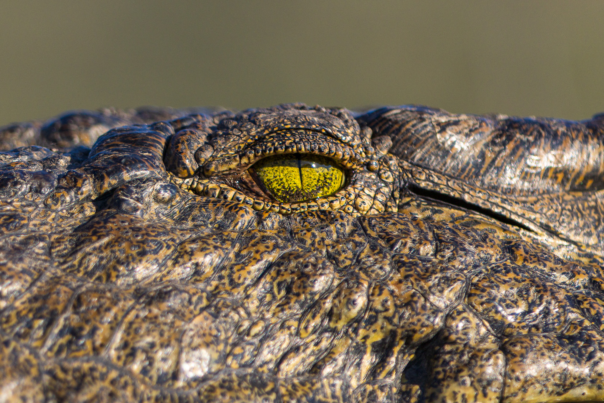 16492503082025215 2©SimonePaleari