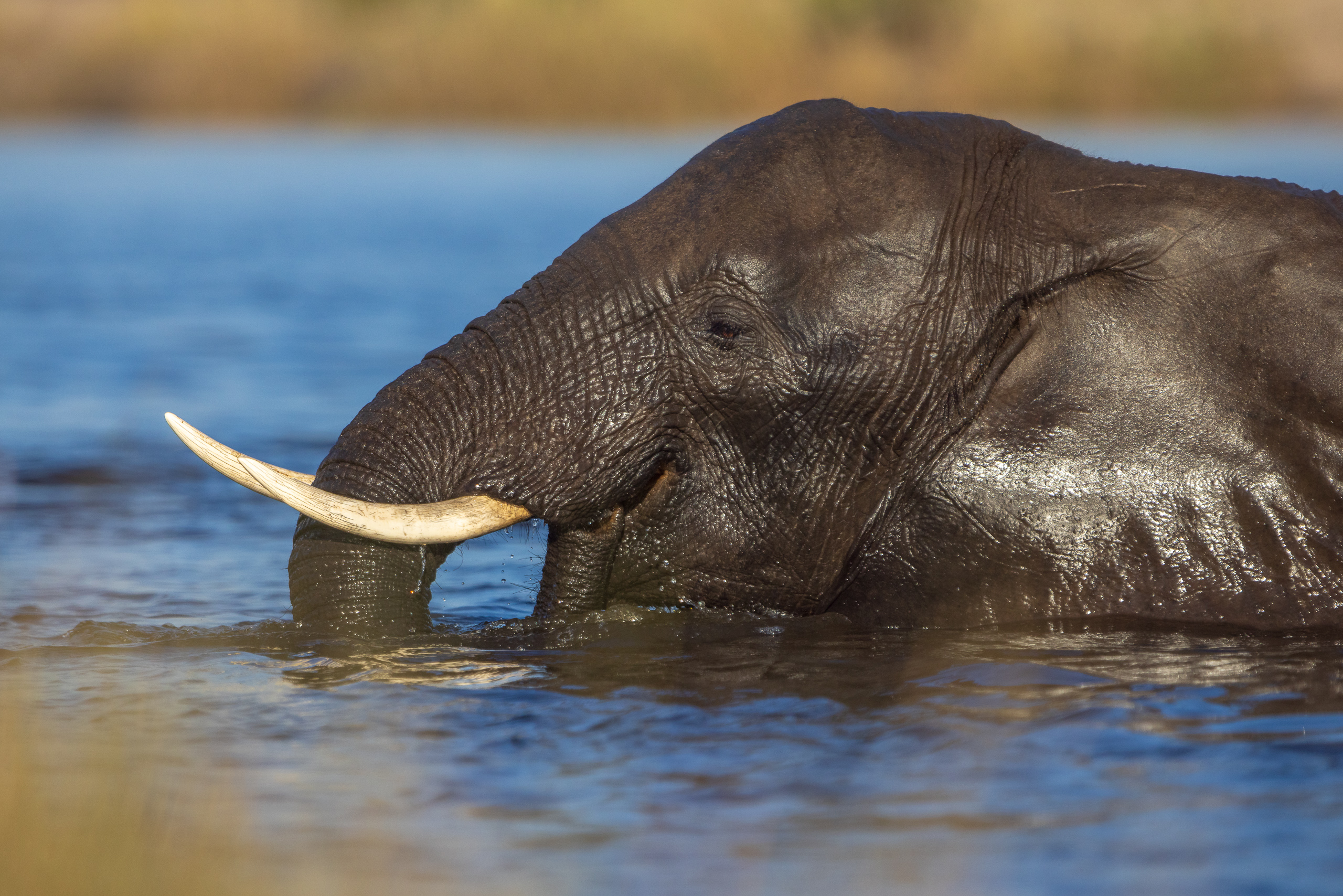 16501407082025219 ©SimonePaleari