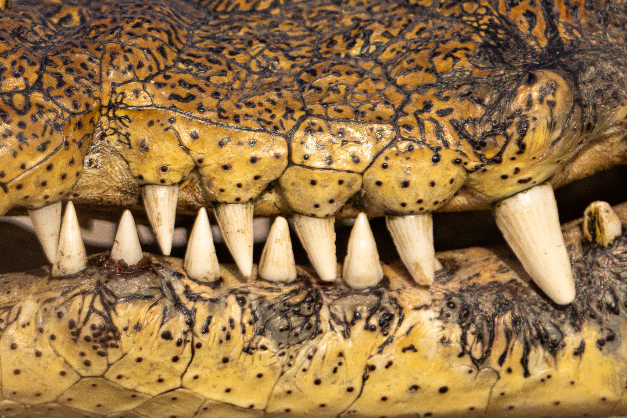 16565410082025222 ©SimonePaleari