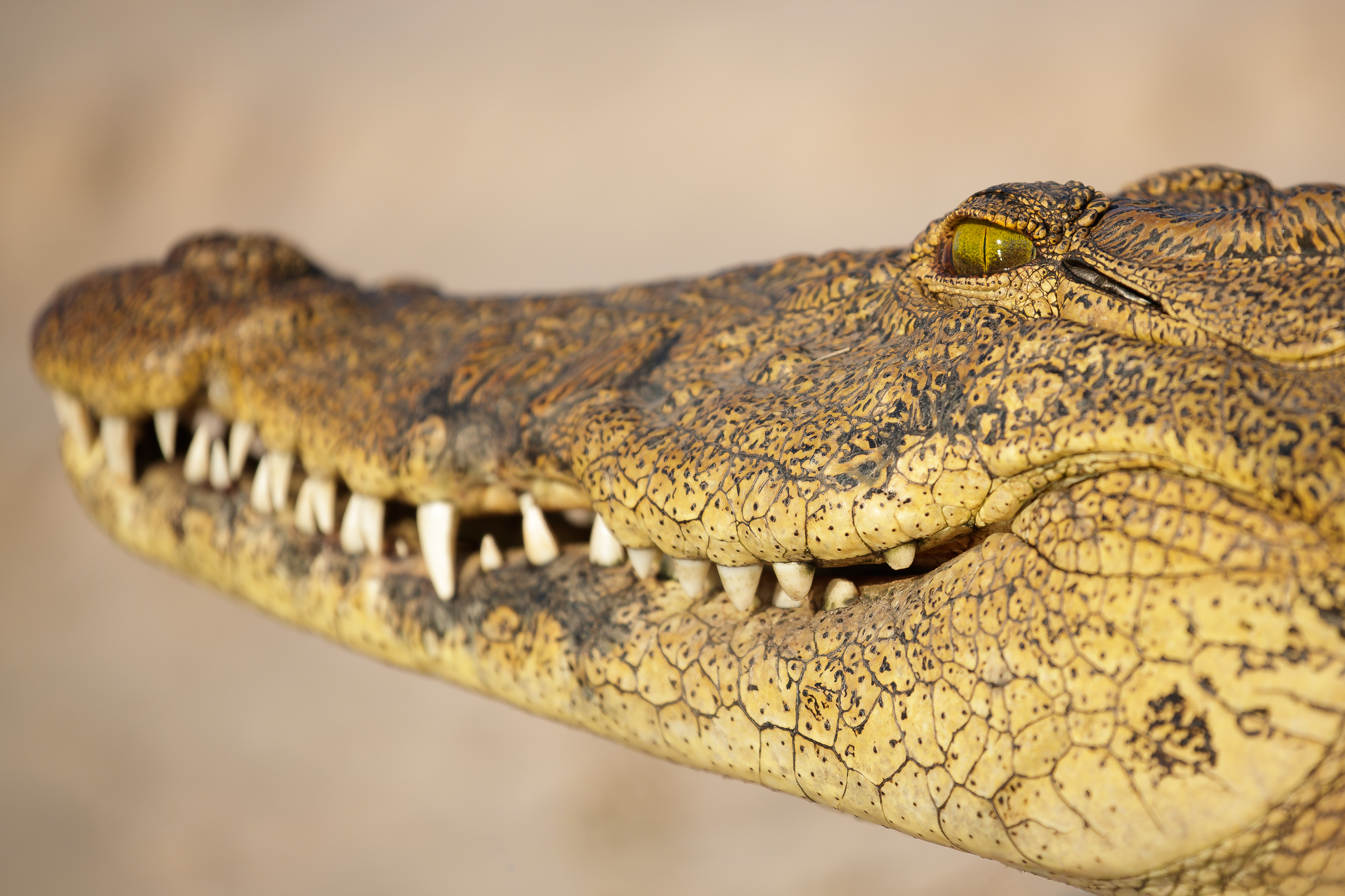 17000610082025222 ©SimonePaleari