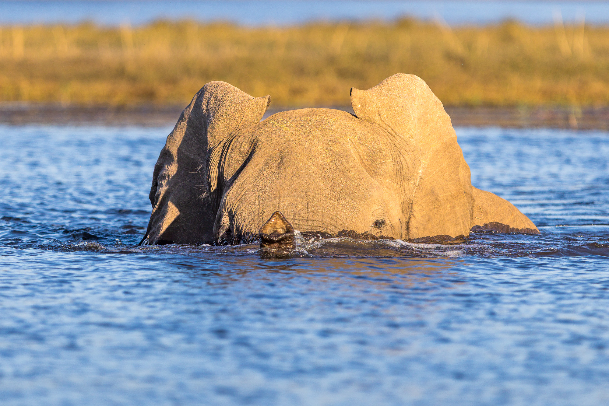 17043604082025216 ©SimonePaleari