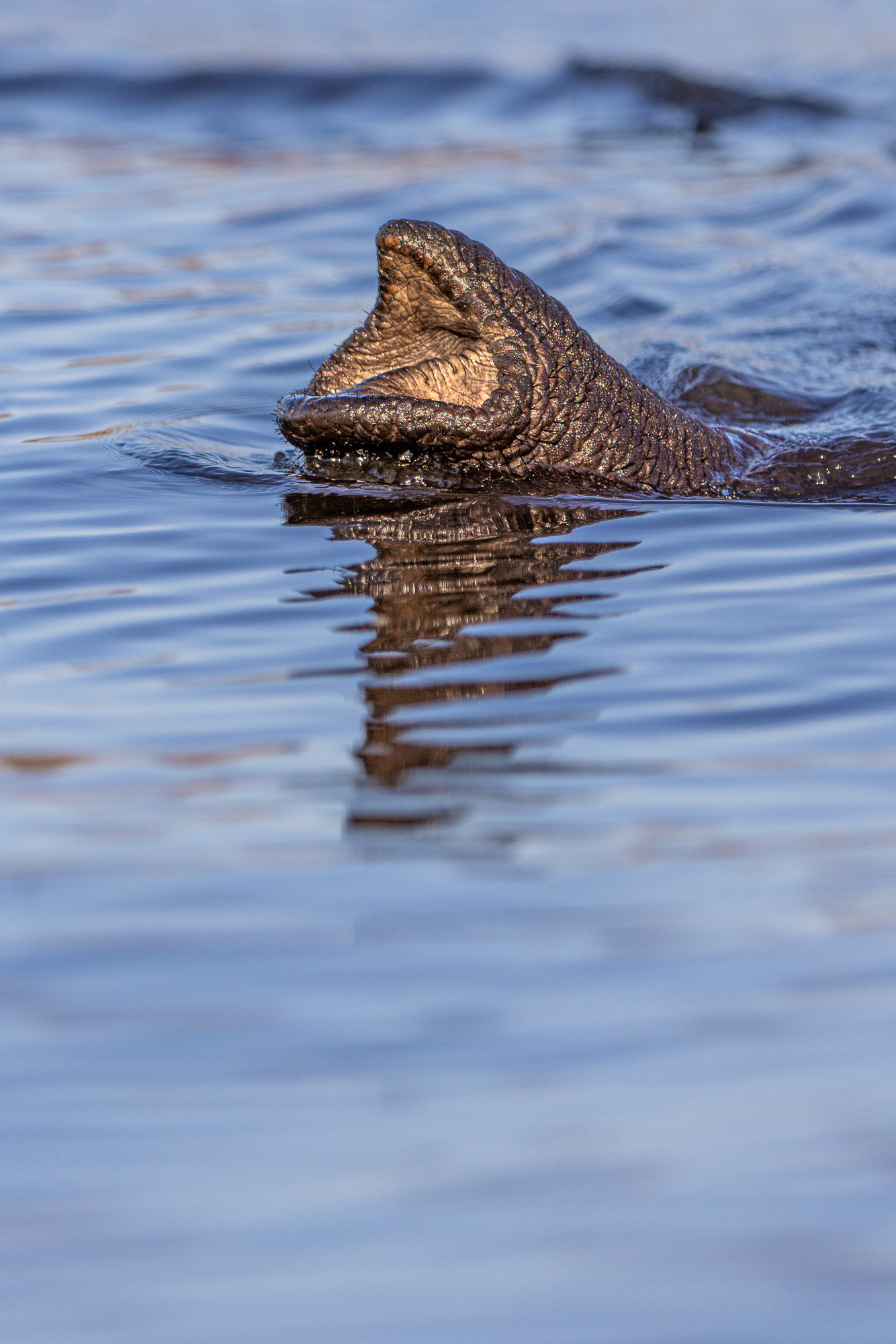 17051904082025216 ©SimonePaleari