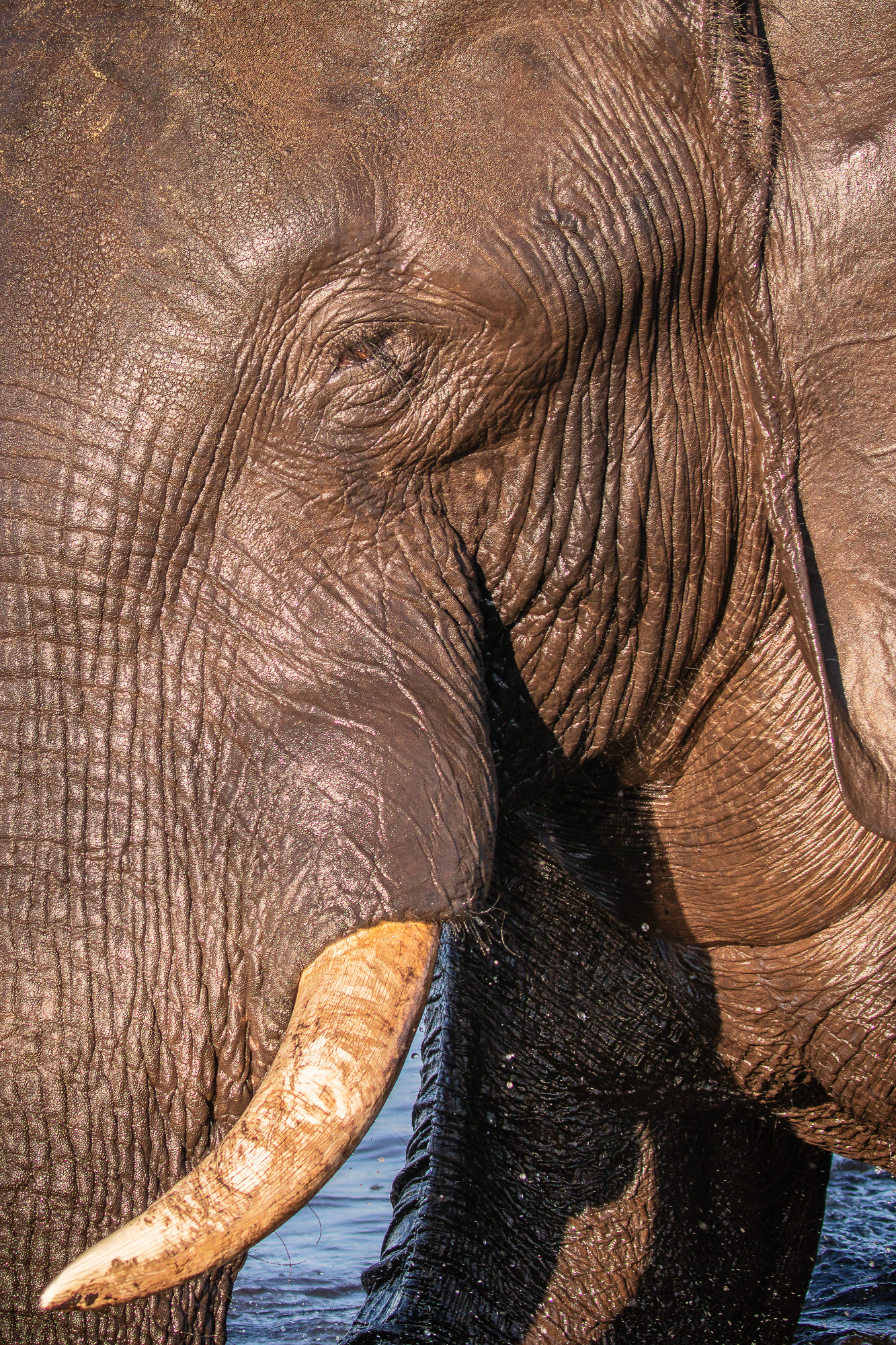 17053004082025216 ©SimonePaleari