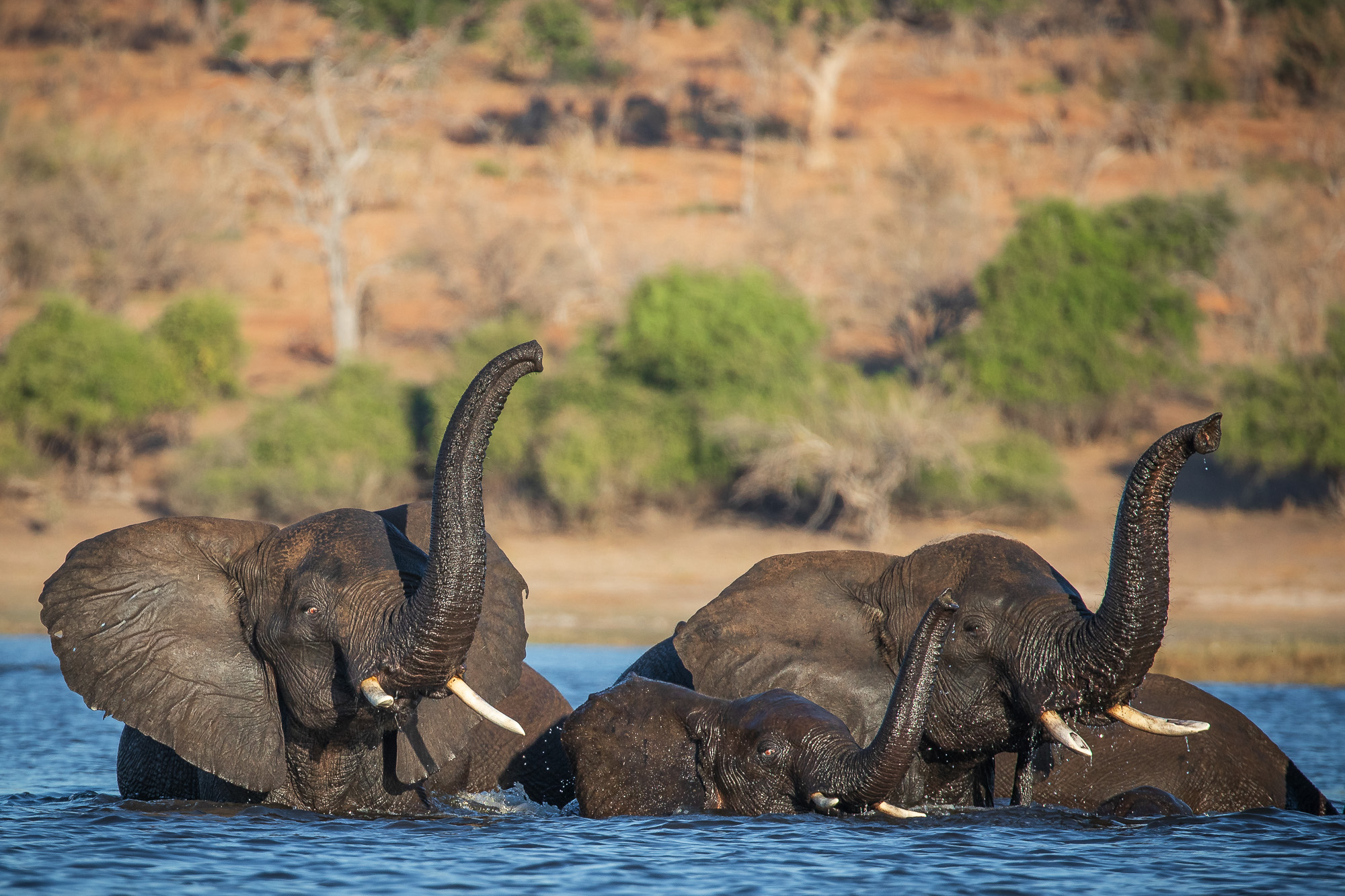 17084505082025217 ©SimonePaleari