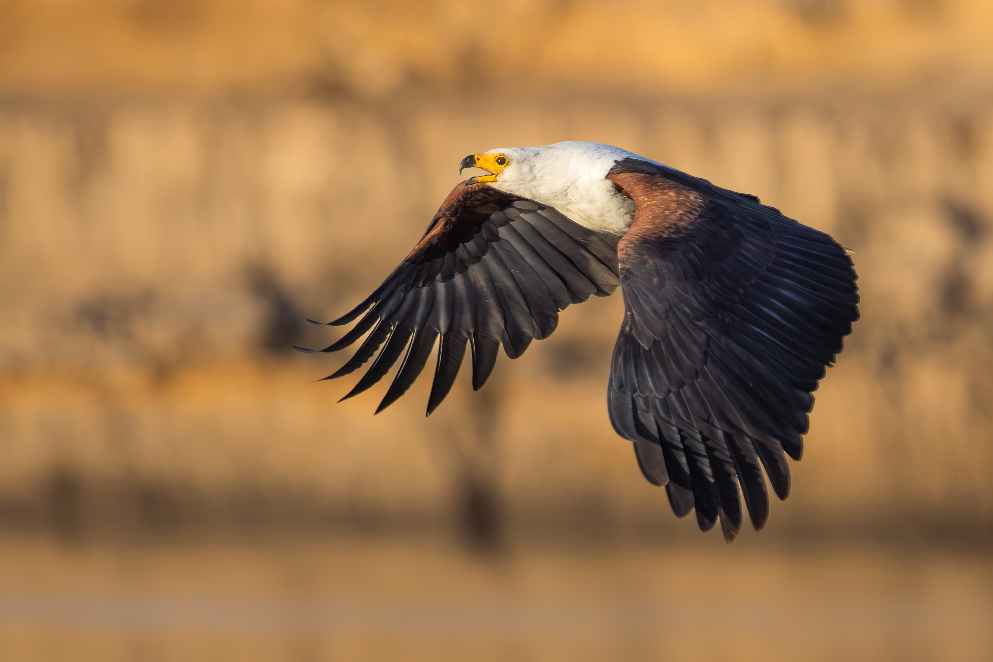 17173911082025223 ©SimonePaleari