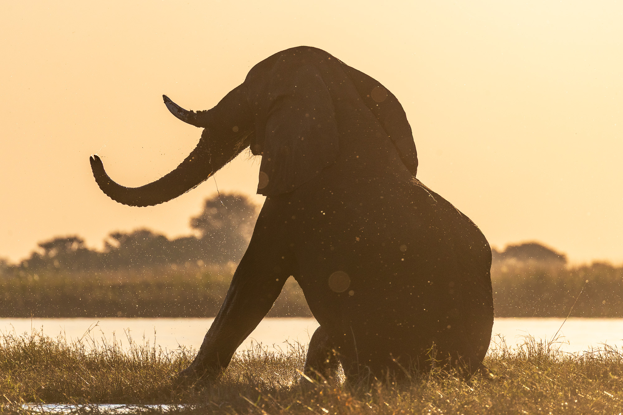 17340205082025217 ©SimonePaleari