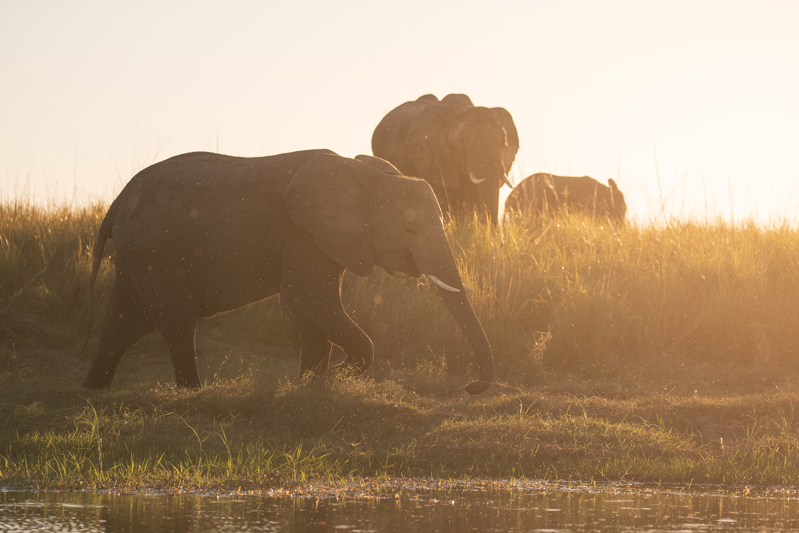 17384608082025220 ©SimonePaleari