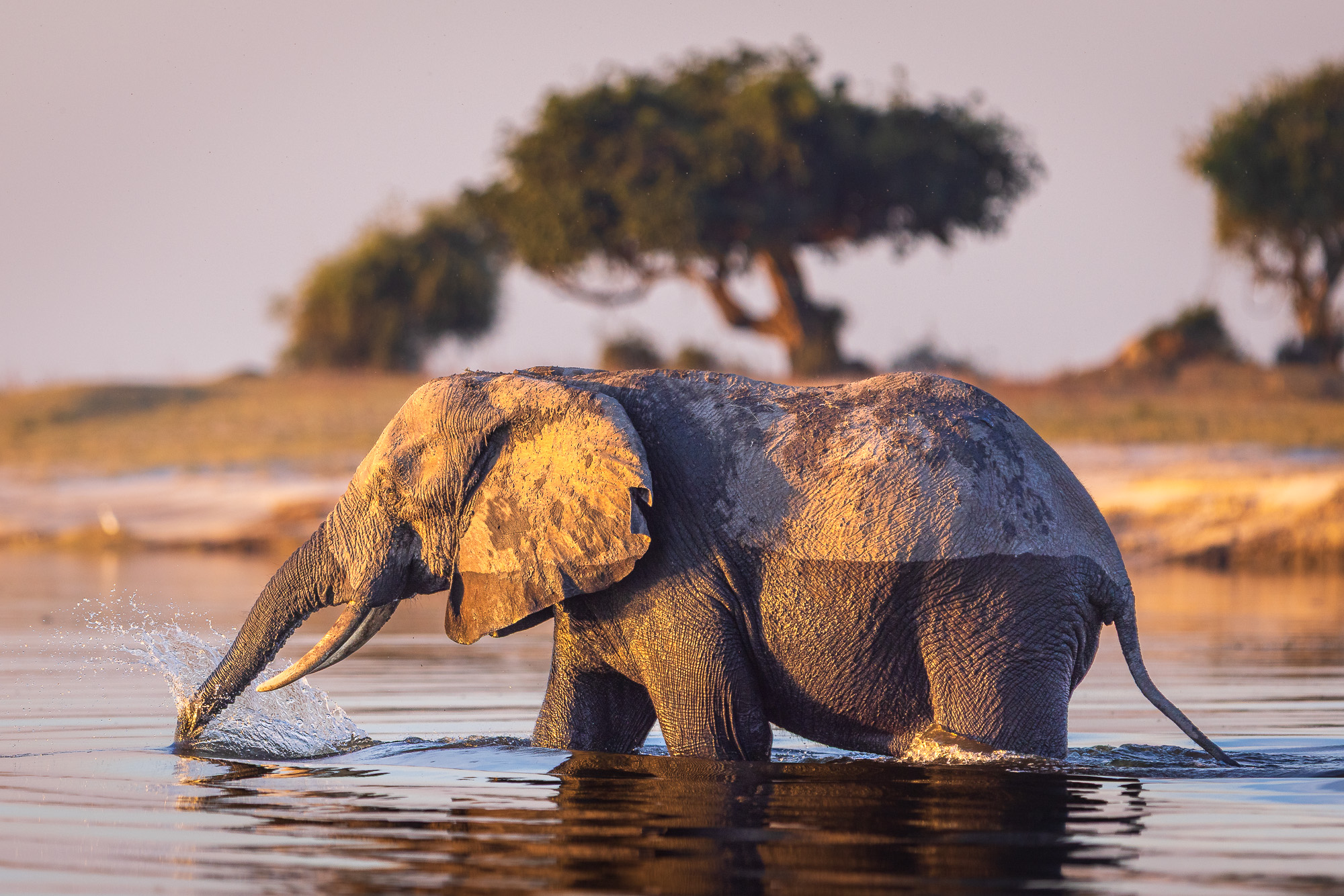 17430109082025221 2©SimonePaleari 2