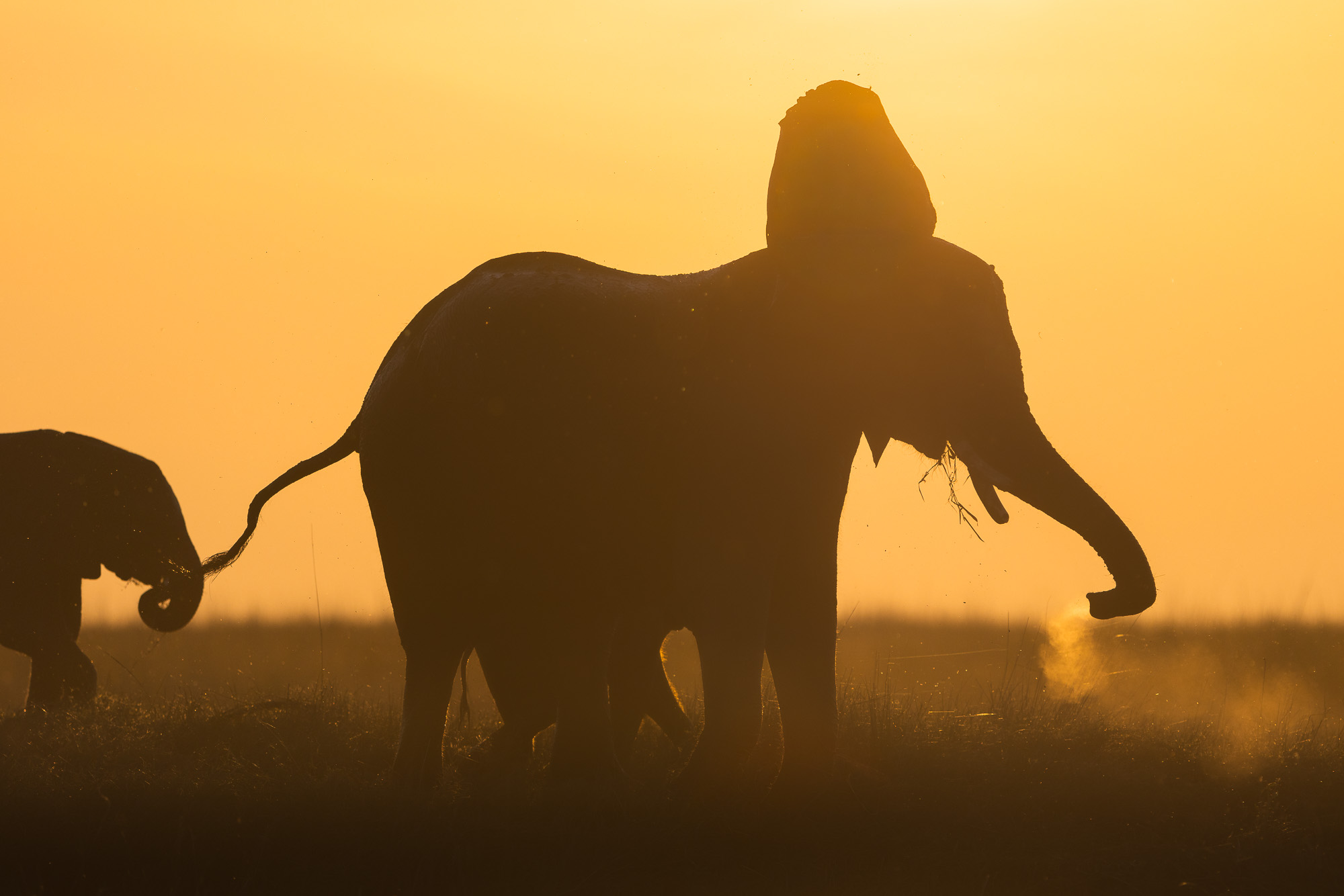 17445509082025221 ©SimonePaleari