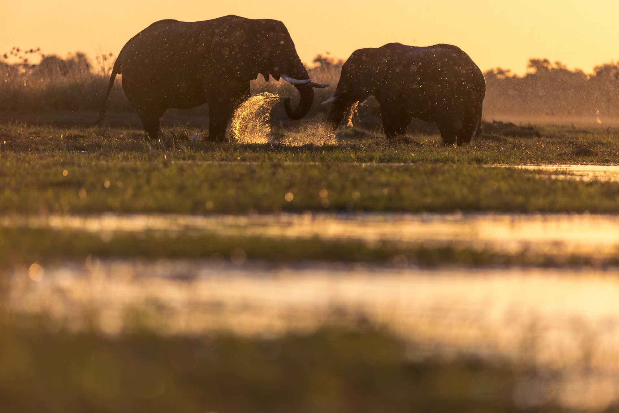 17474804082025216 ©SimonePaleari