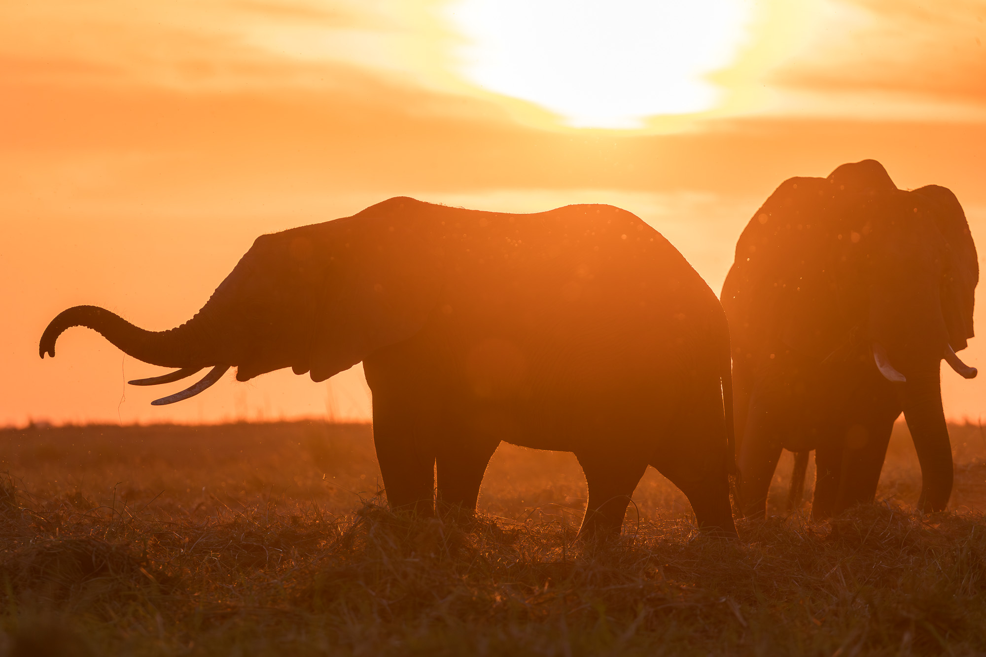 17563409082025221 ©SimonePaleari