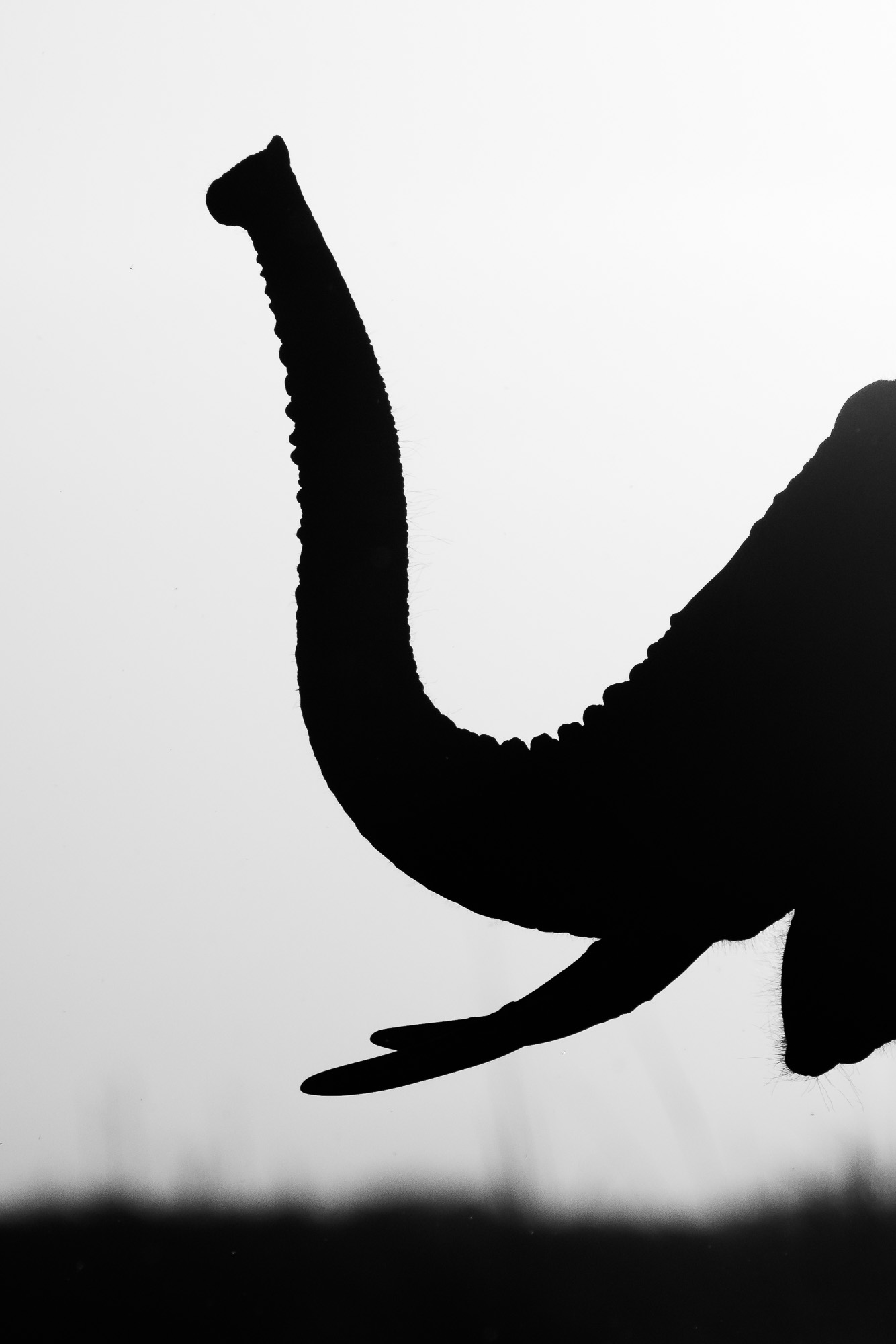 17572809082025221 ©SimonePaleari 2