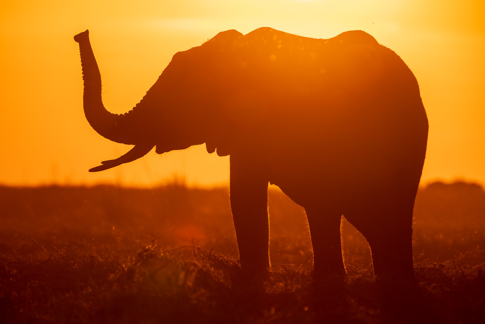 17572809082025221 ©SimonePaleari