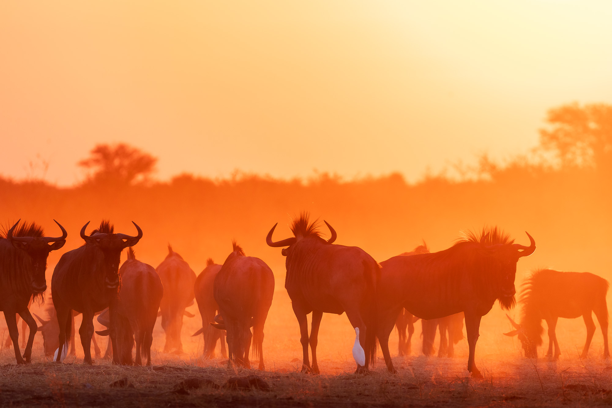 18004015082025227 ©SimonePaleari