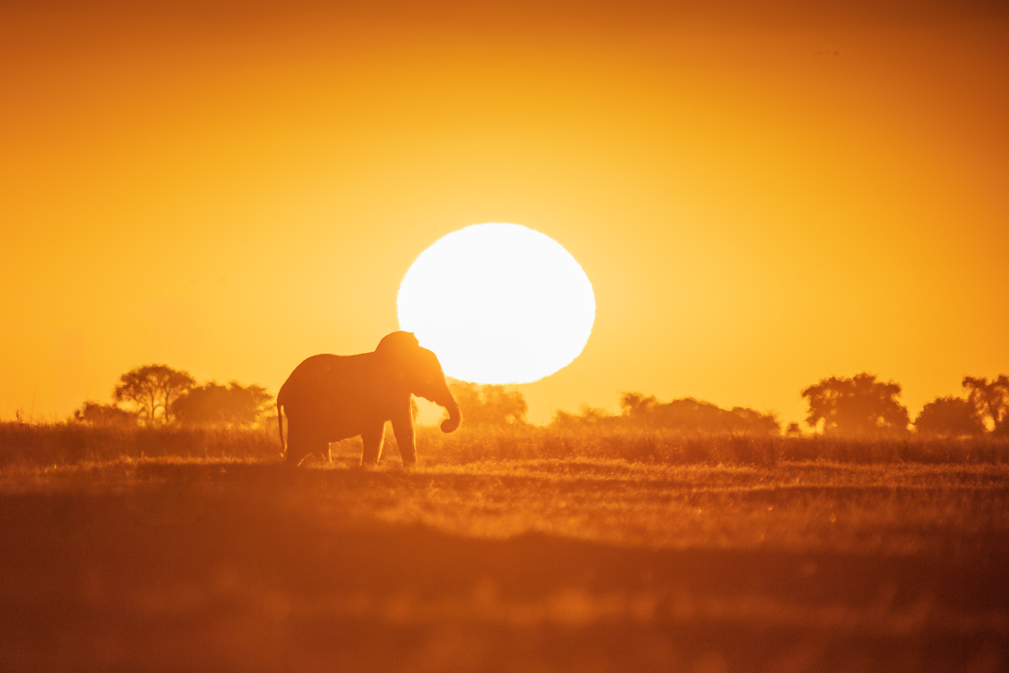 18034308082025220 ©SimonePaleari