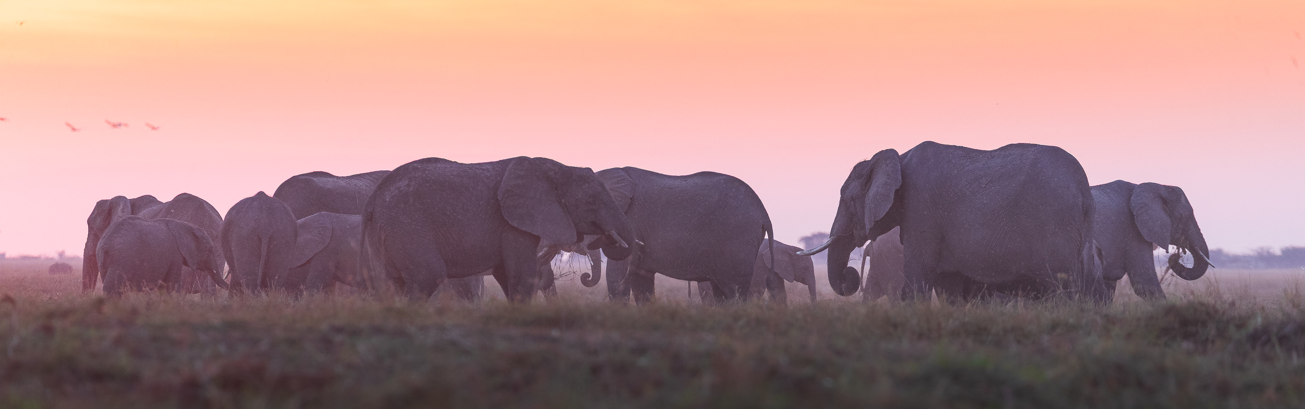 18055309082025221 ©SimonePaleari