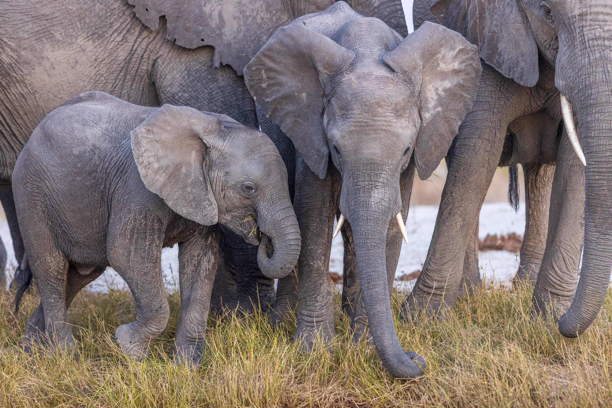 18101710082025222 ©SimonePaleari