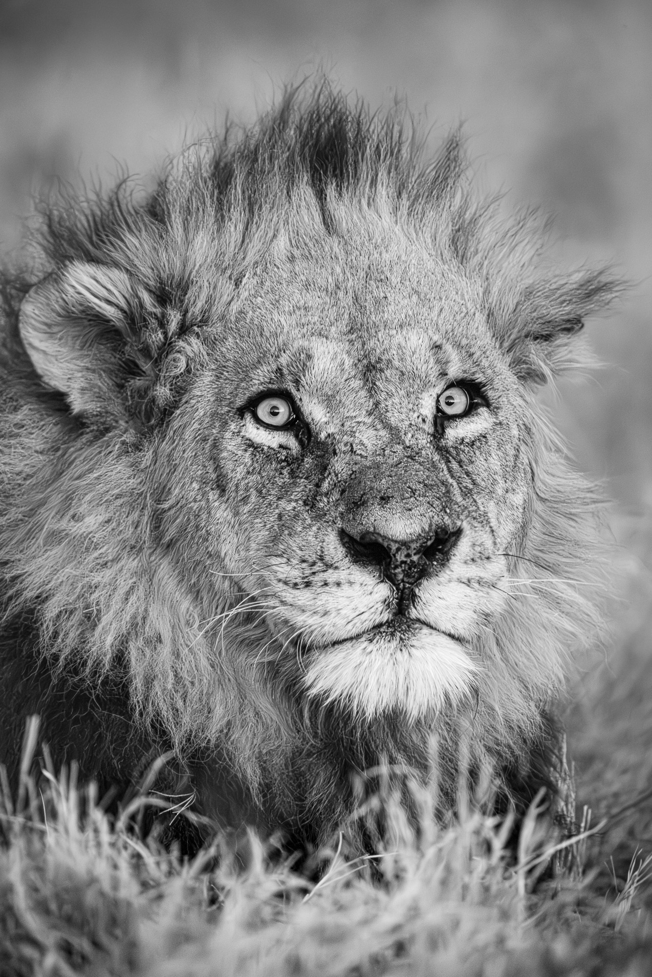 18333213082025225 2©SimonePaleari