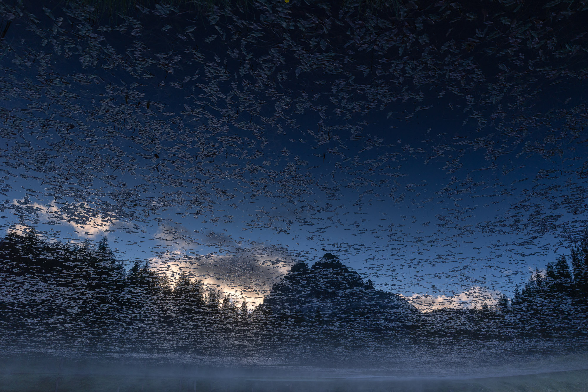 05024802072024184 ©SimonePaleari